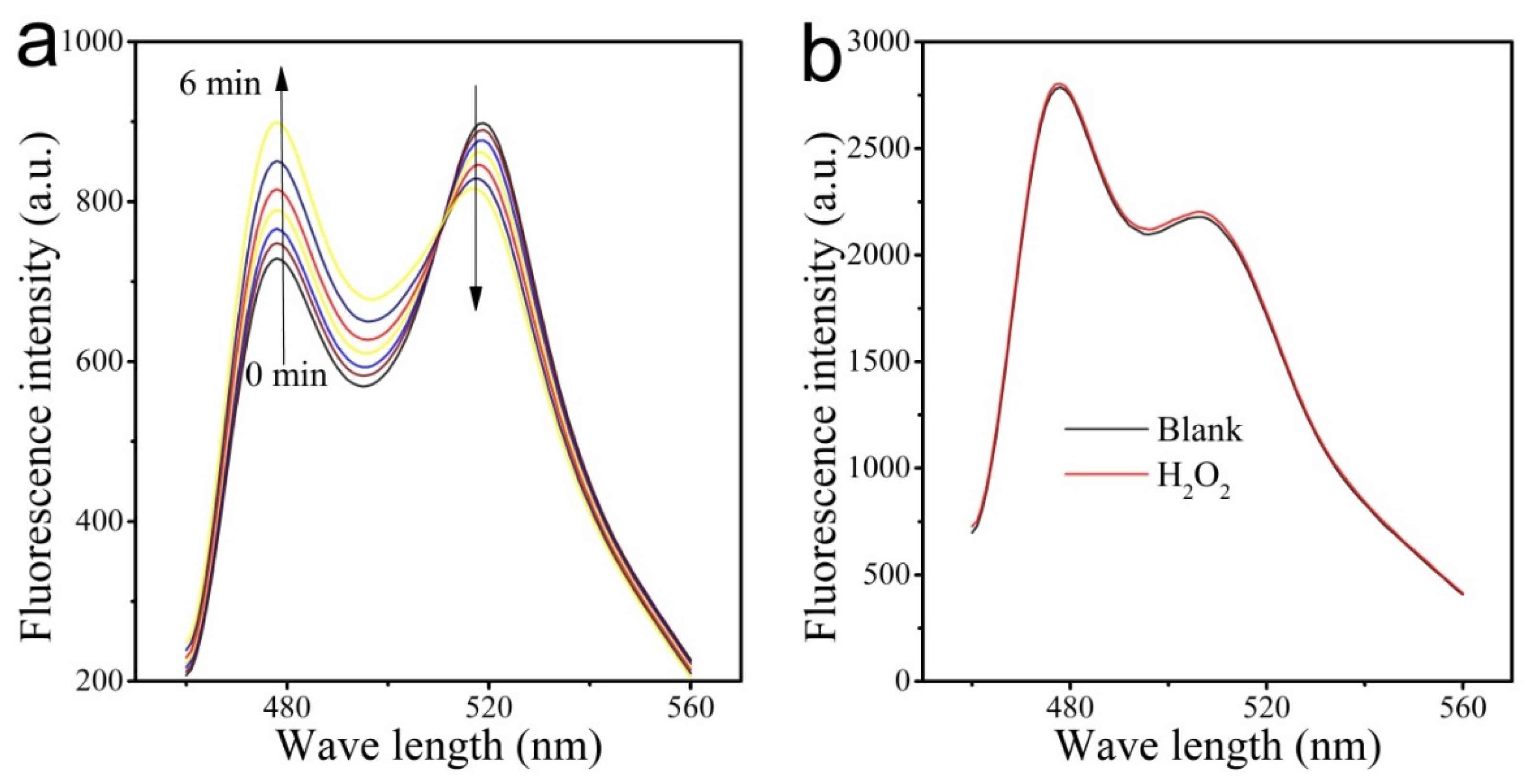 Applsci 10 03508 g003