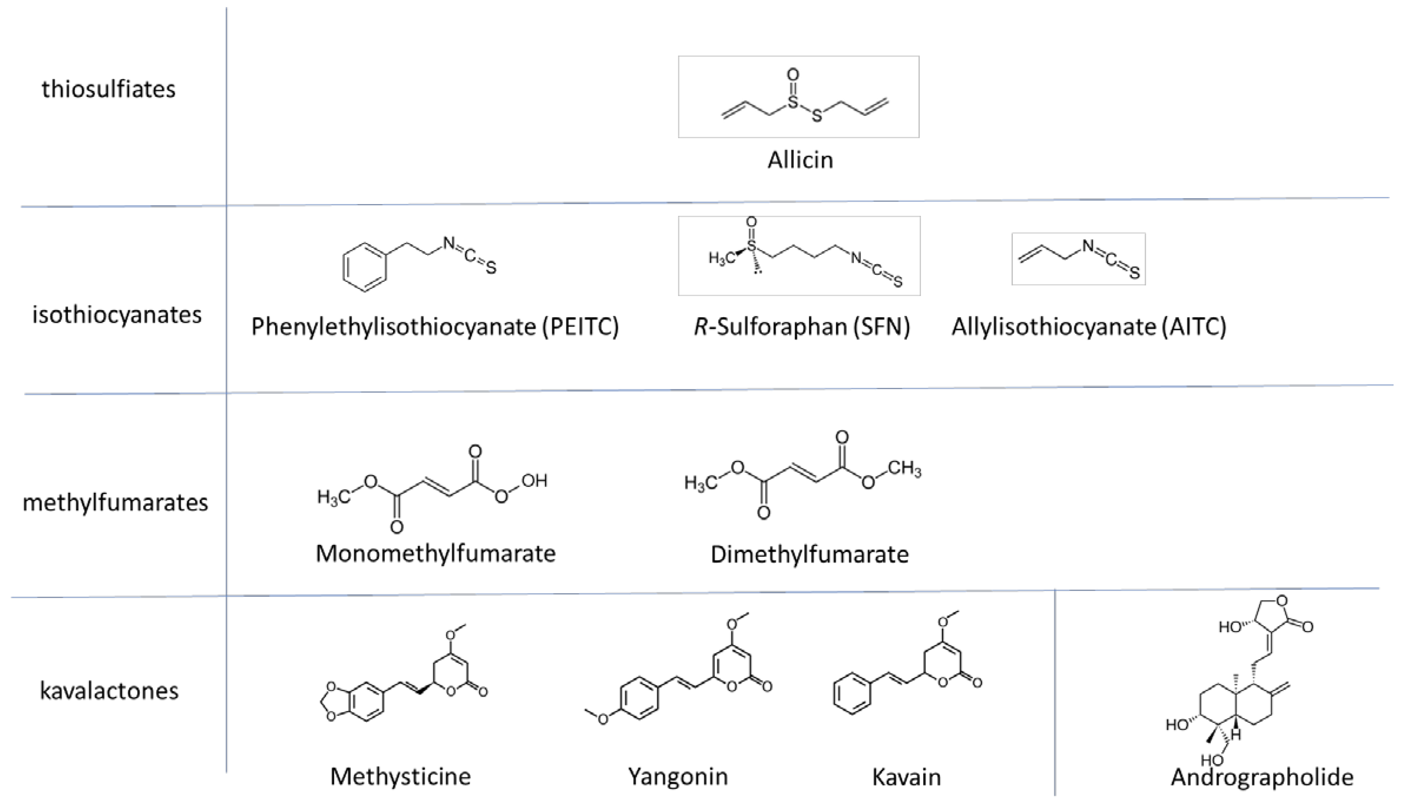 Applsci 10 03520 g004