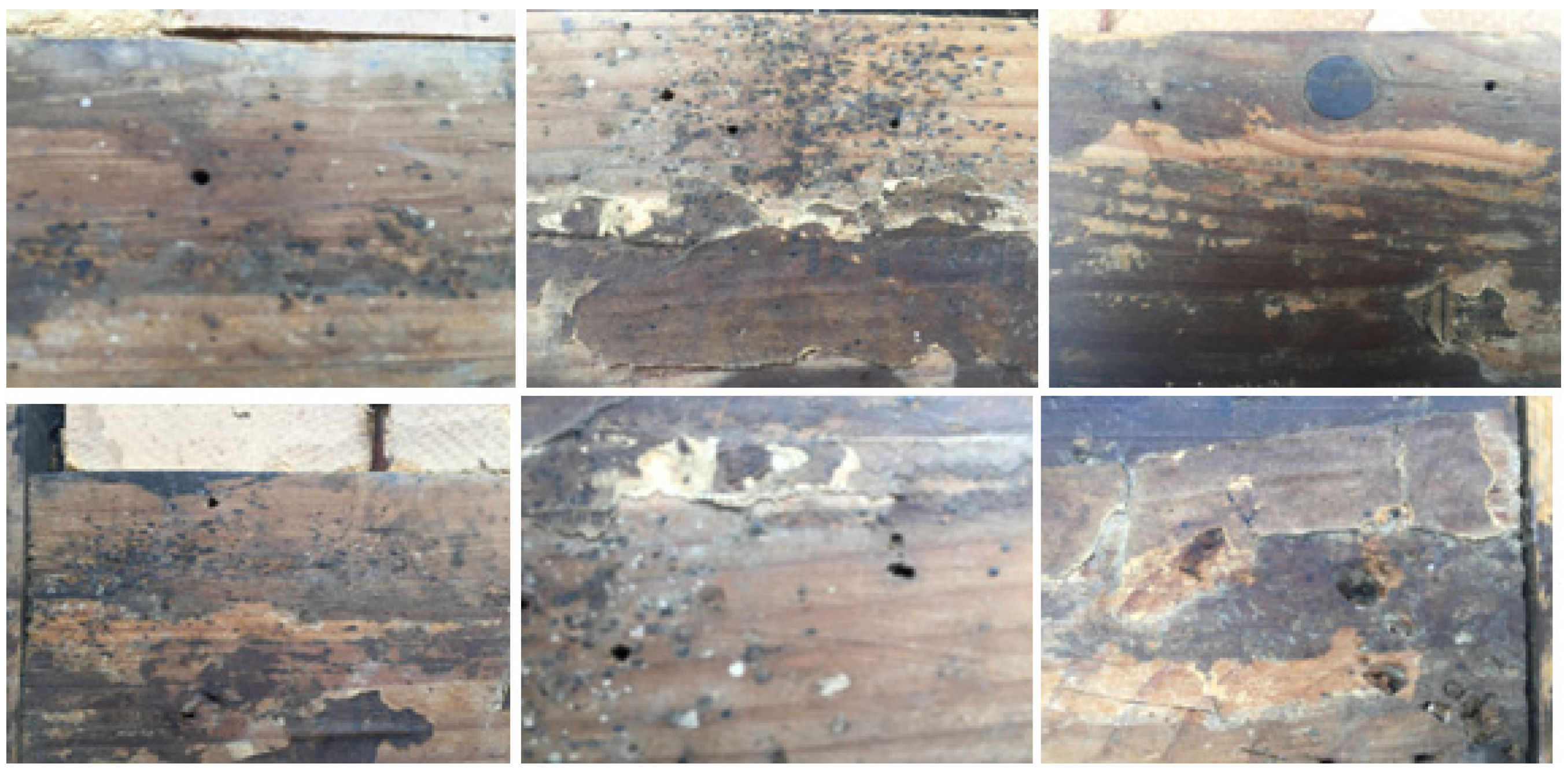 Applsci 10 03558 g013 Applsci 10 03558 g013