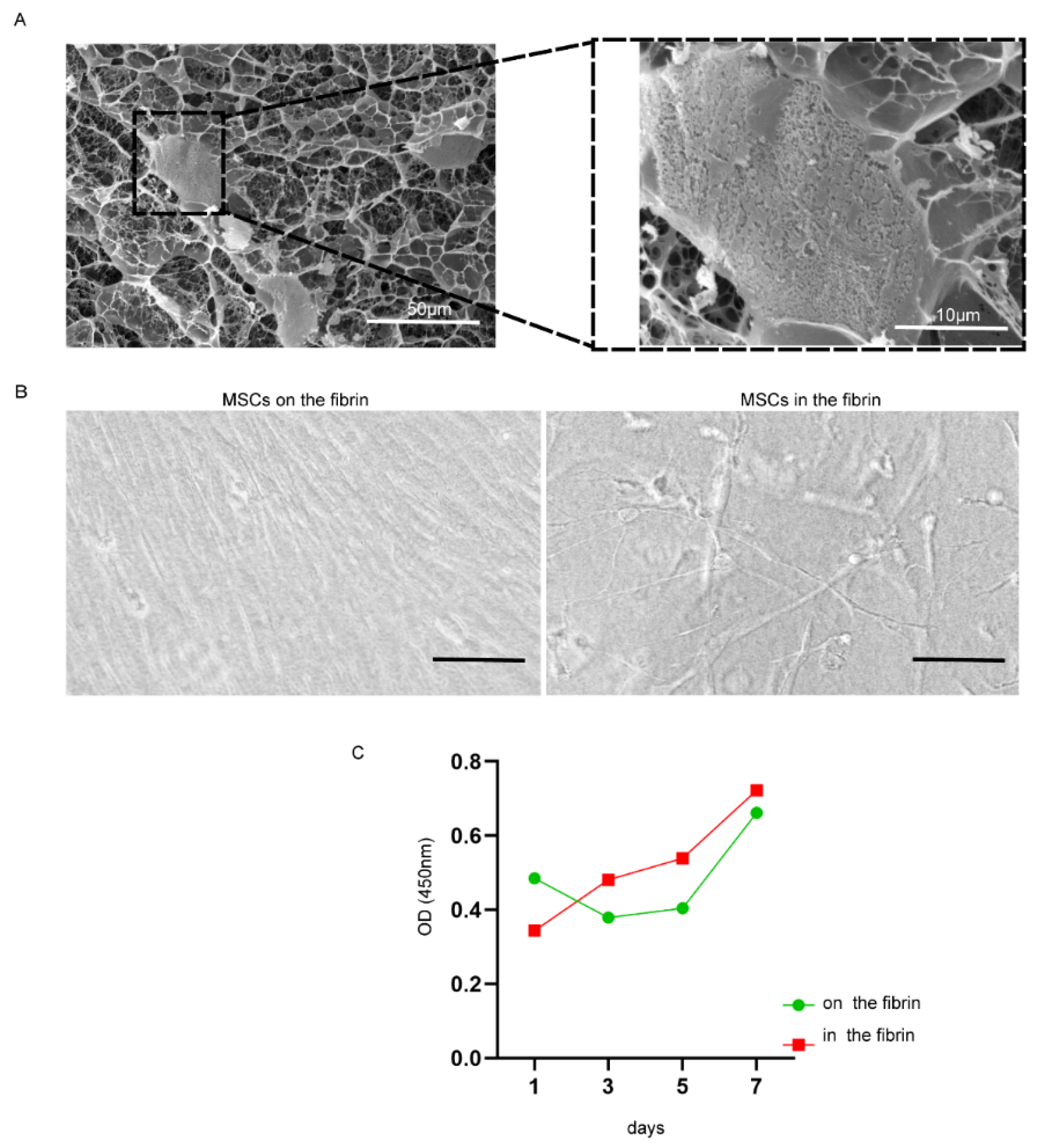 Applsci 10 03598 g002