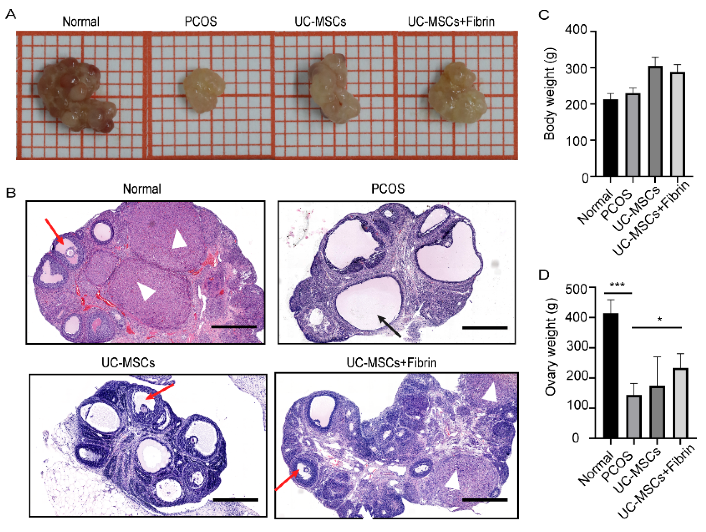 Applsci 10 03598 g004