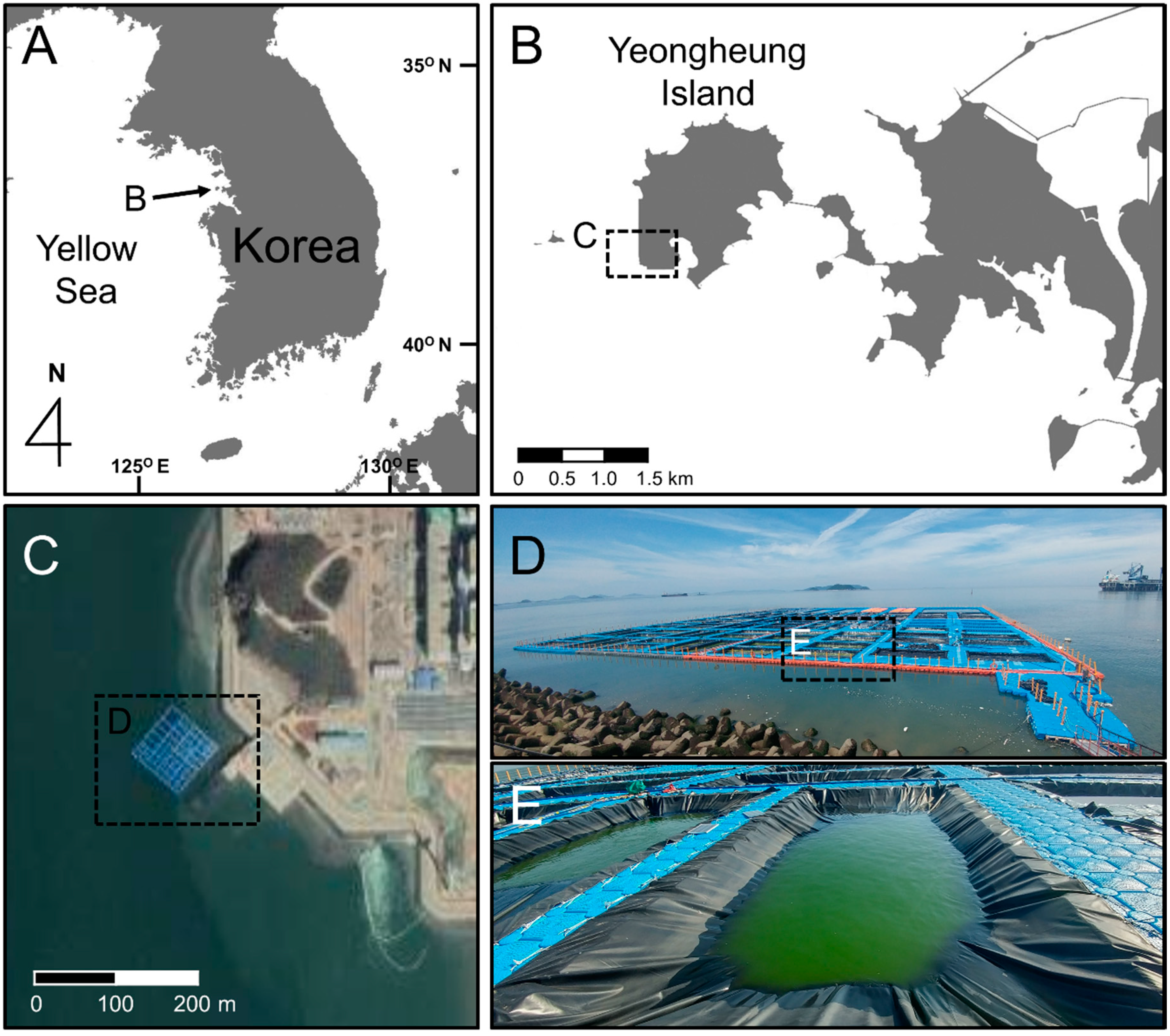 Applsci 10 03601 g001