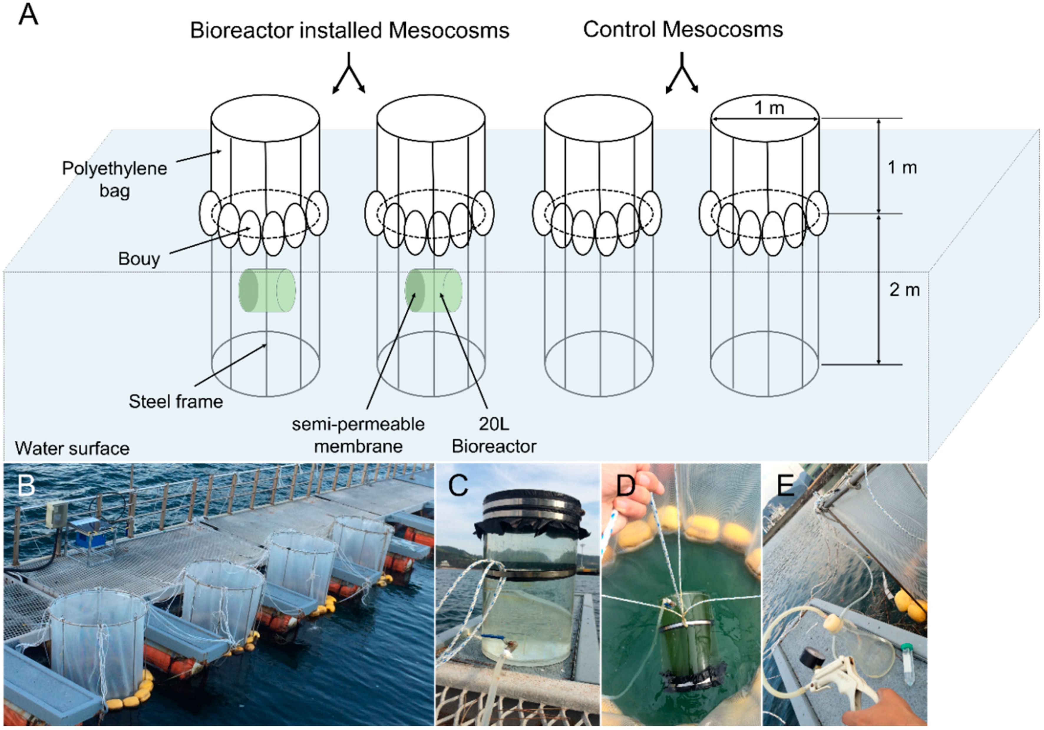 Applsci 10 03601 g002