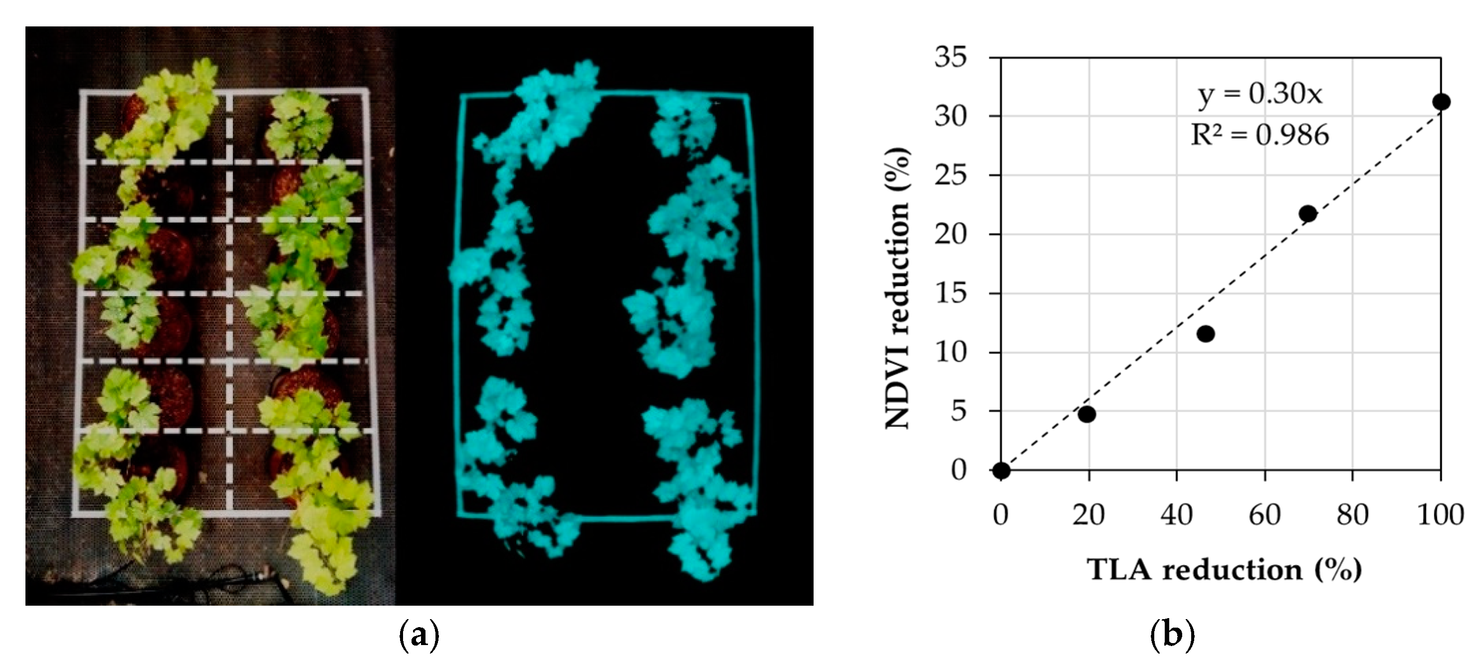 Applsci 10 03612 g004