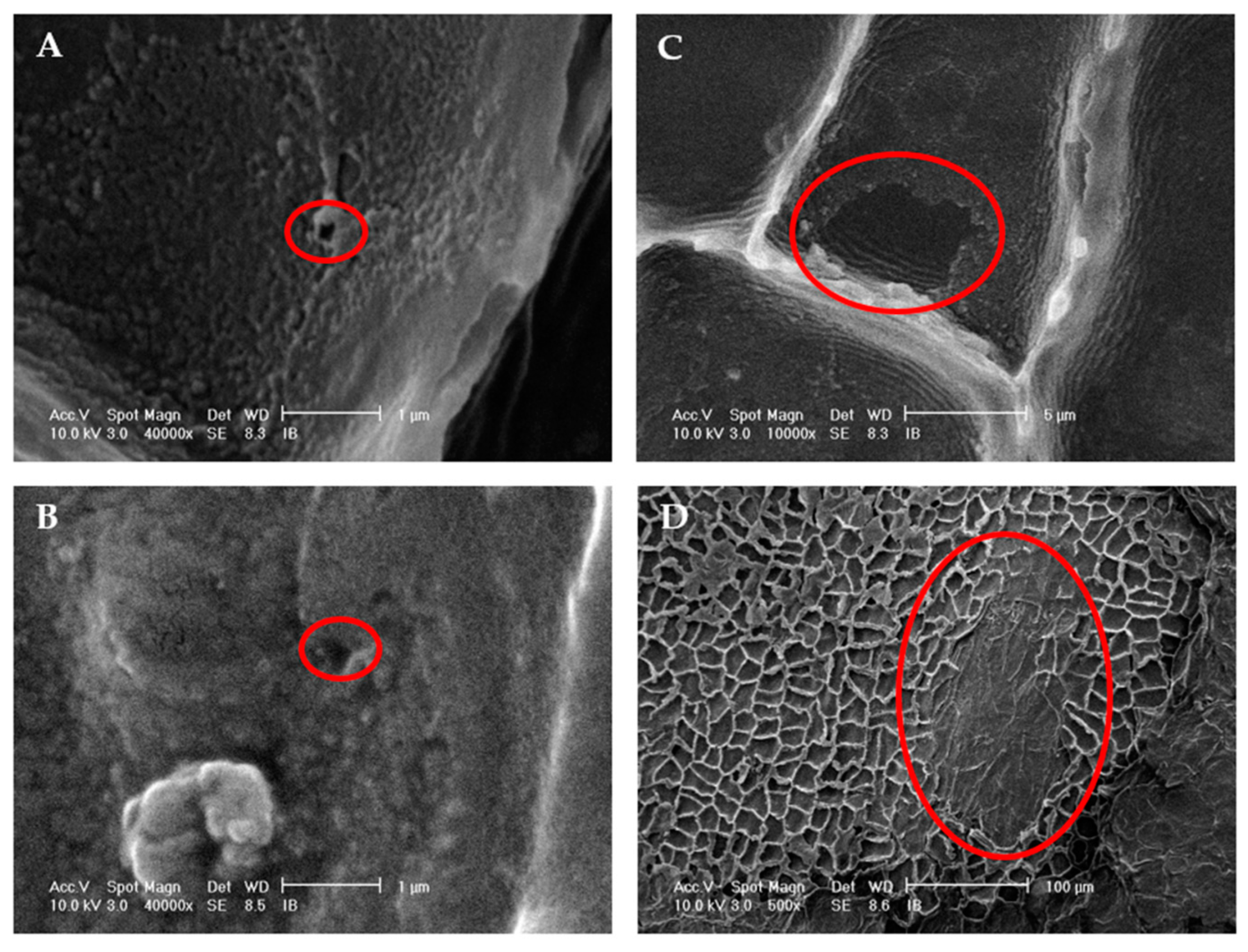 Applsci 10 03628 g005