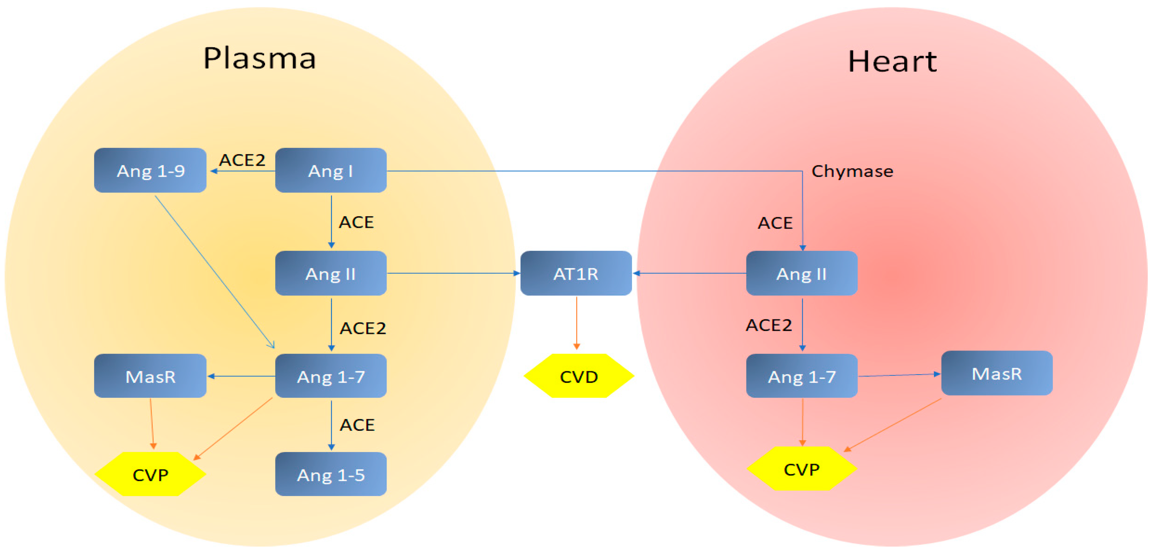 Applsci 10 03641 g012 Applsci 10 03641 g012