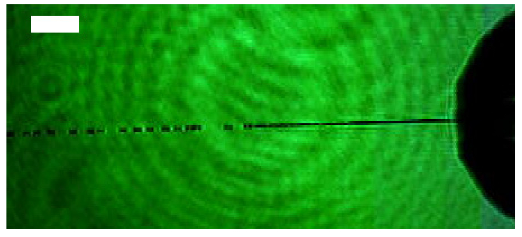 Applsci 10 03642 g001