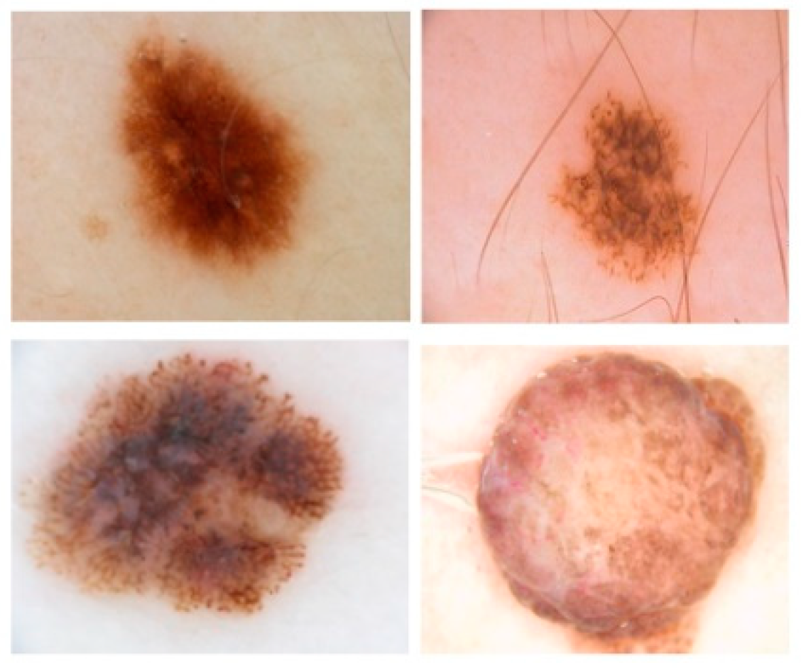 Applsci 10 03658 g001 Applsci 10 03658 g001