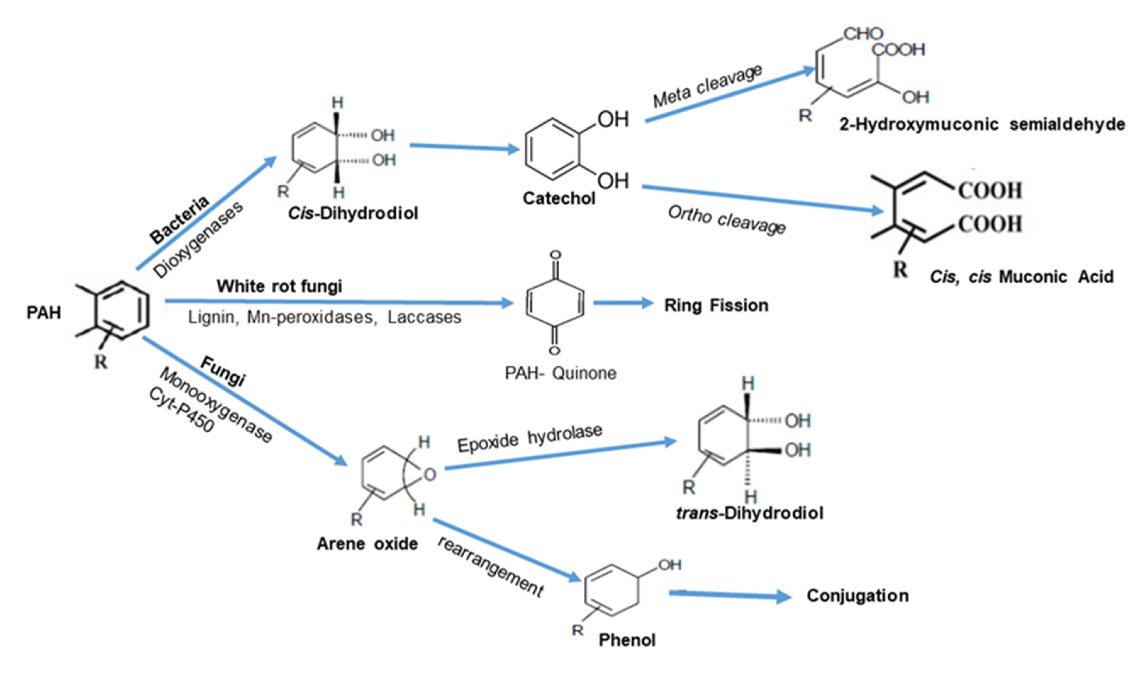 Applsci 10 03684 g002 Applsci 10 03684 g002