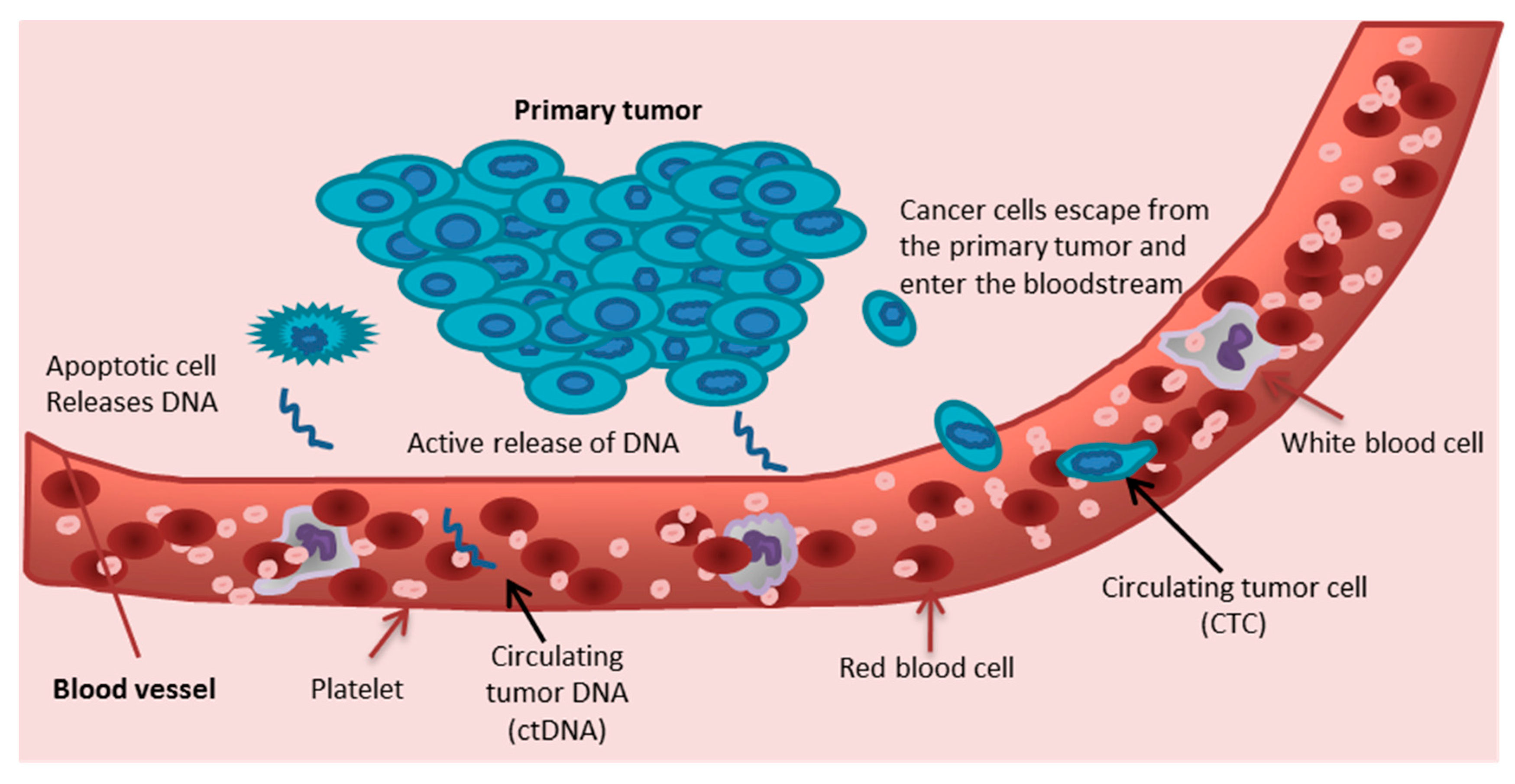 Applsci 10 03704 g002
