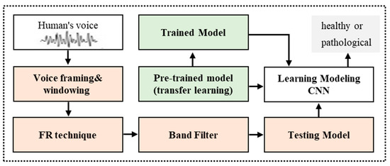 Voice Pathology Detection and Classification Using Convolutional Neural ...