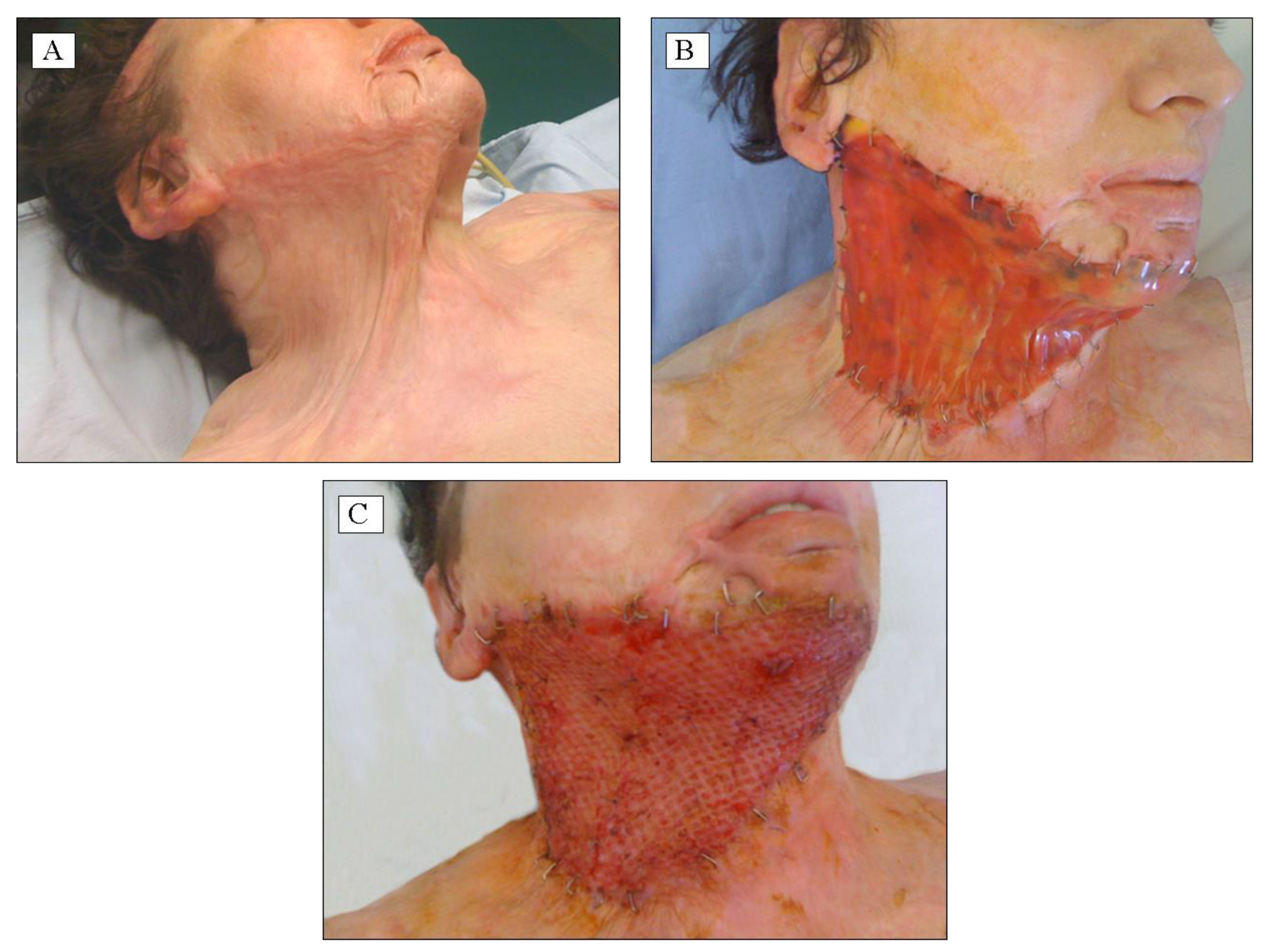 Applsci 10 03731 g002