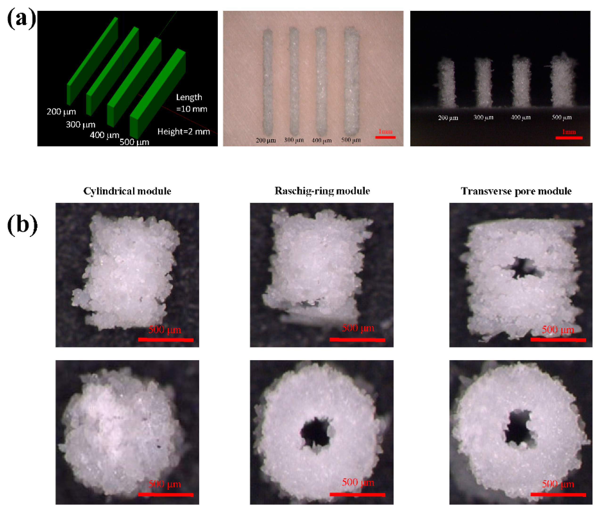 Applsci 10 03748 g002