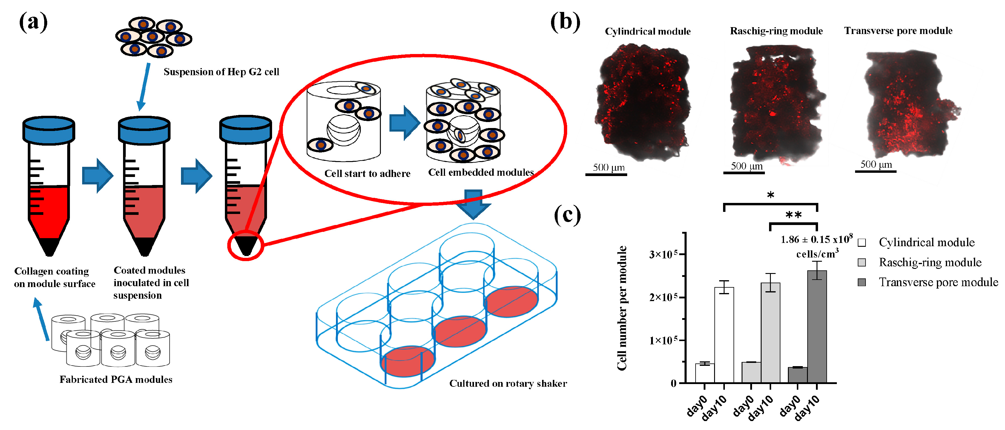 Applsci 10 03748 g003