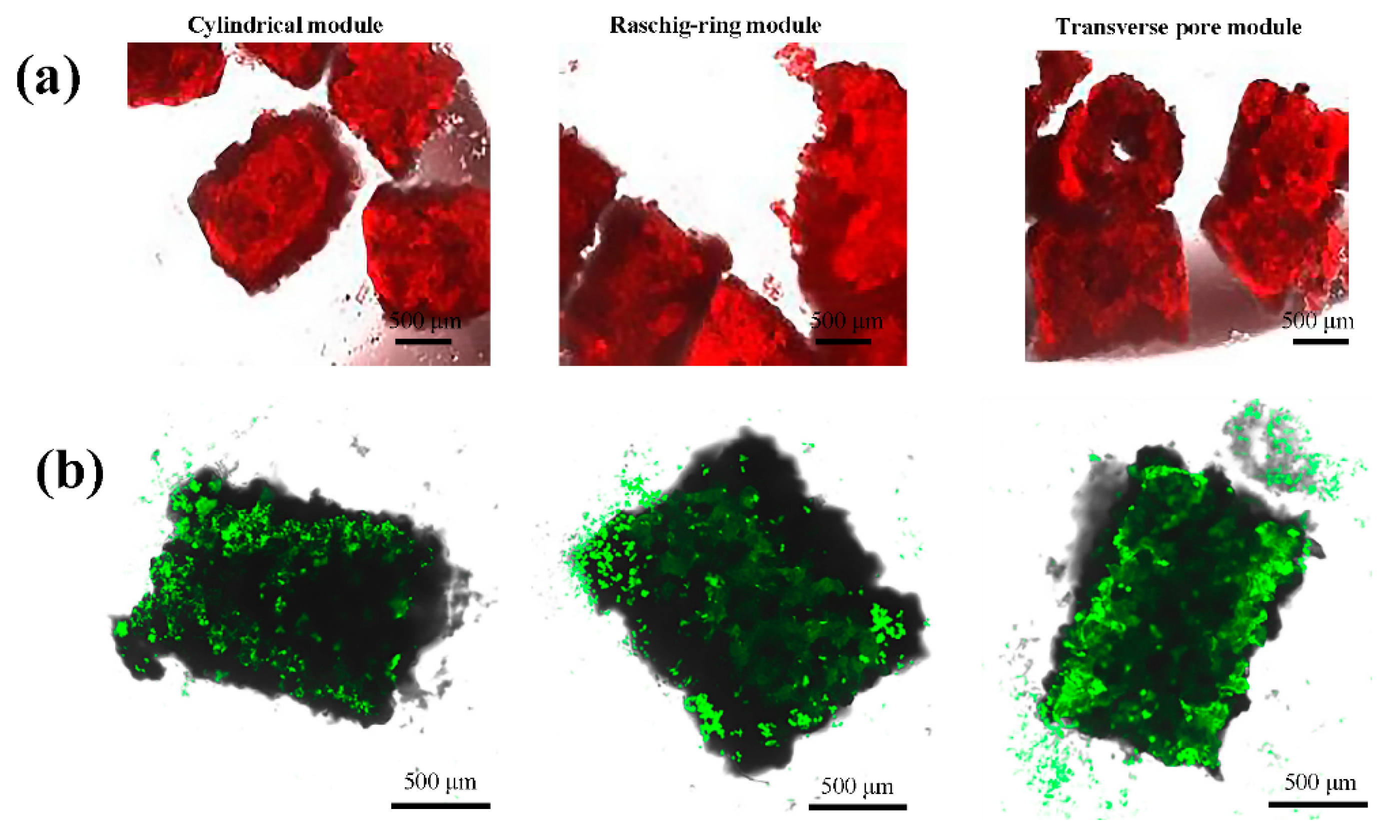 Applsci 10 03748 g005