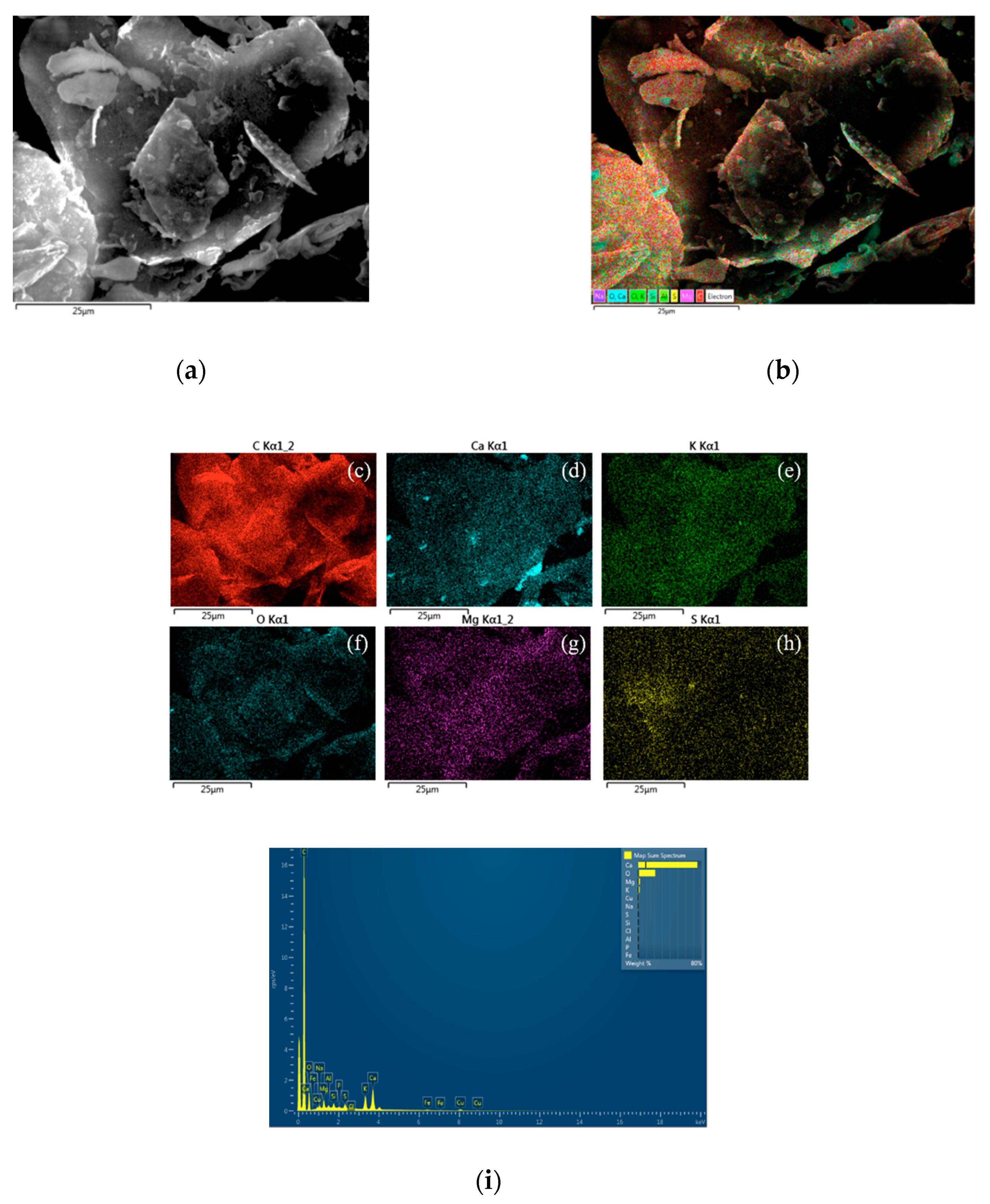 Applsci 10 03819 g001 Applsci 10 03819 g001