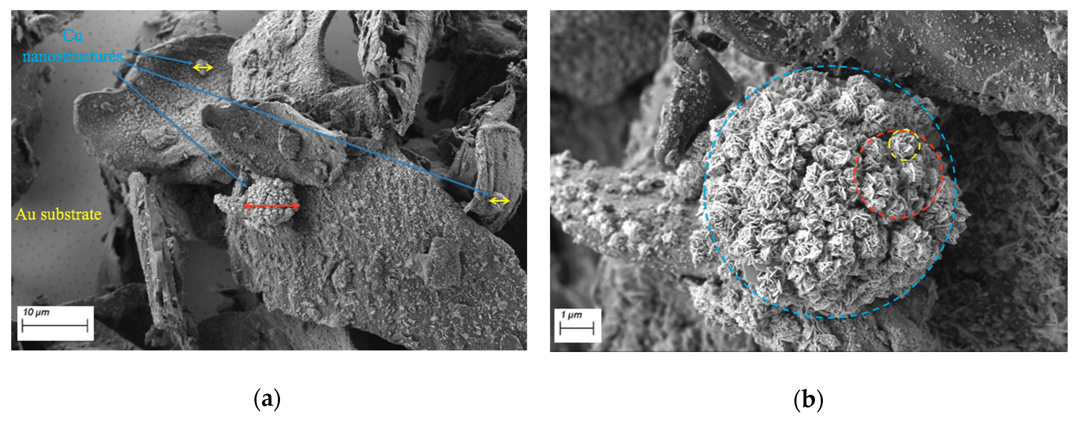 Applsci 10 03819 g002a Applsci 10 03819 g002a
