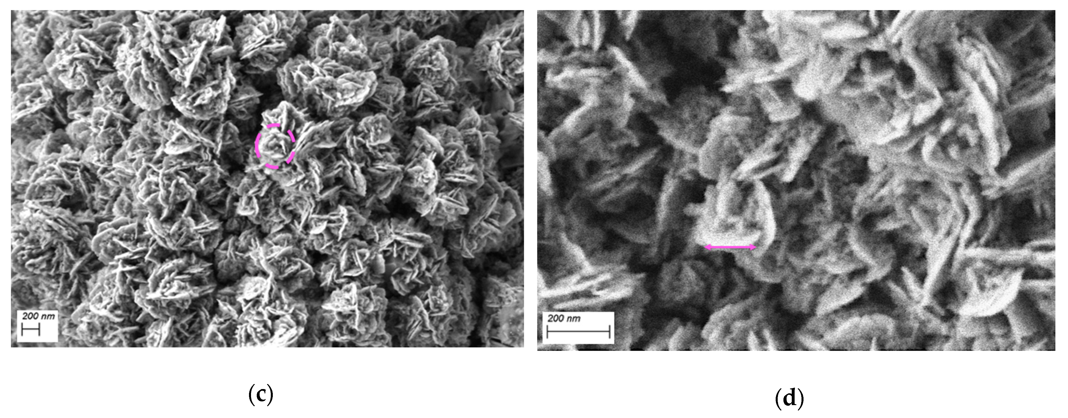 Applsci 10 03819 g002b Applsci 10 03819 g002b