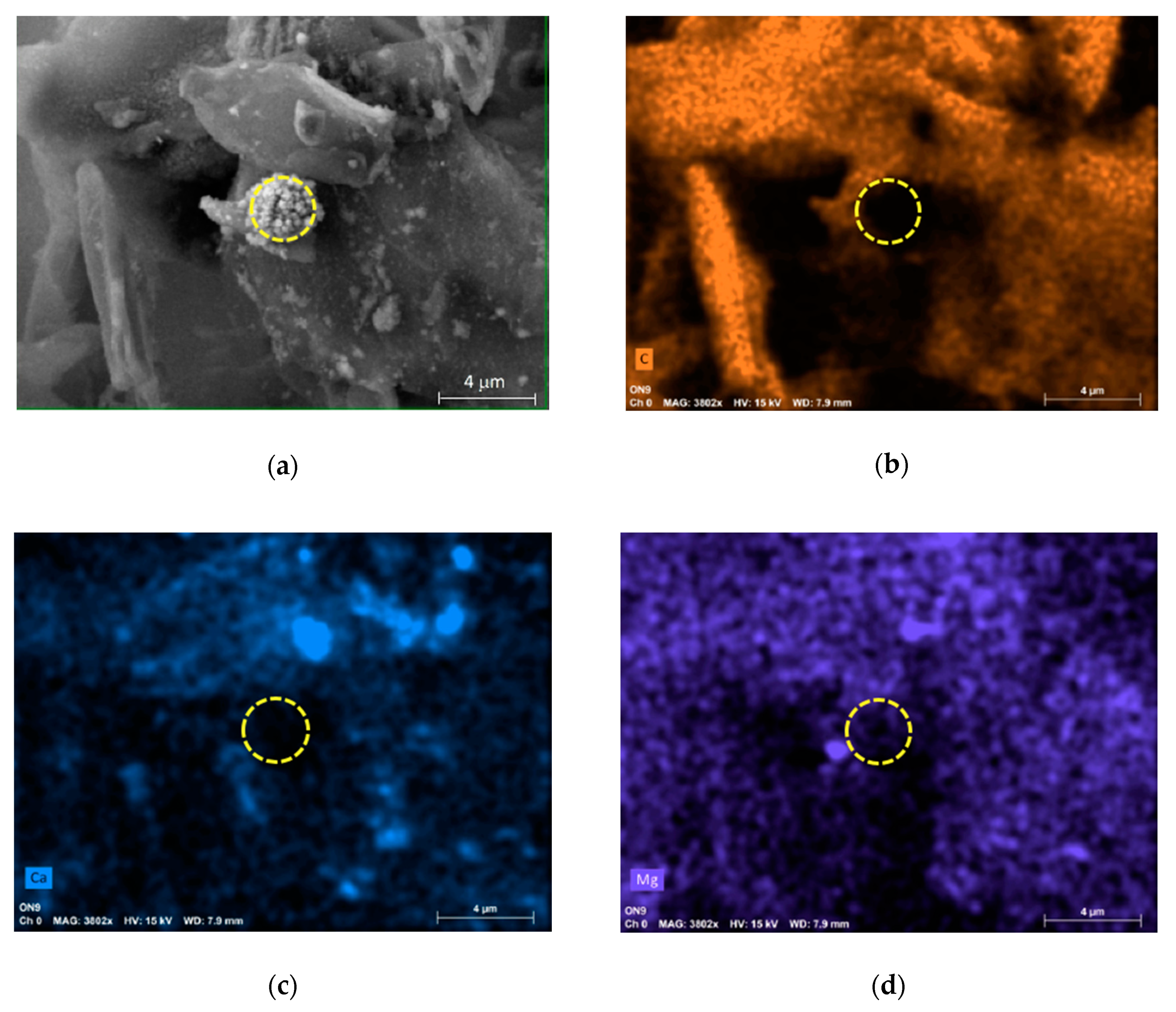 Applsci 10 03819 g003a Applsci 10 03819 g003a
