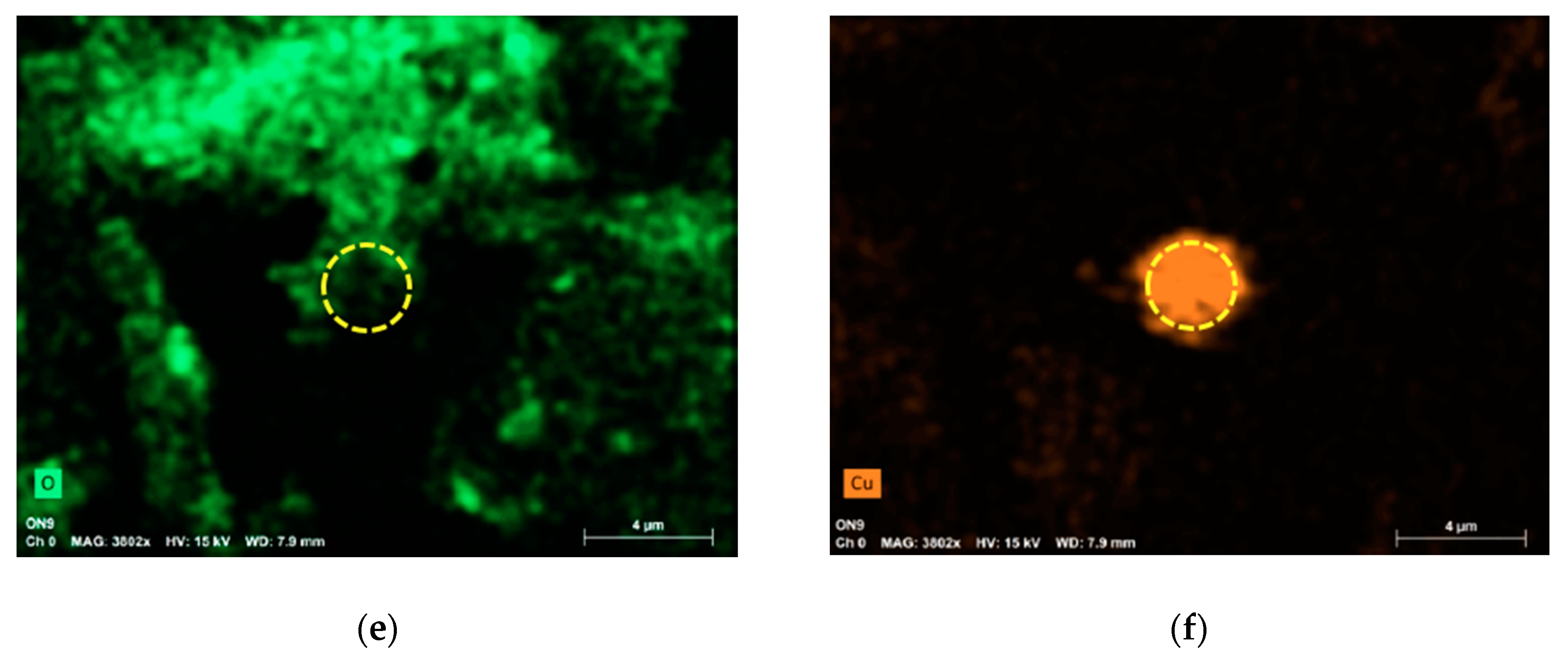 Applsci 10 03819 g003b Applsci 10 03819 g003b