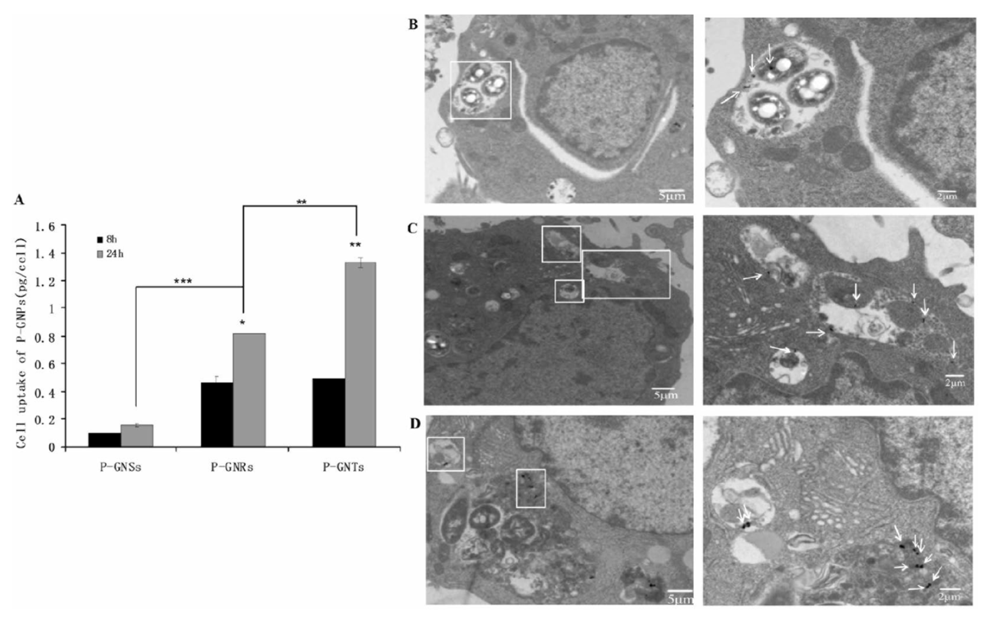 Applsci 10 03824 g002 Applsci 10 03824 g002