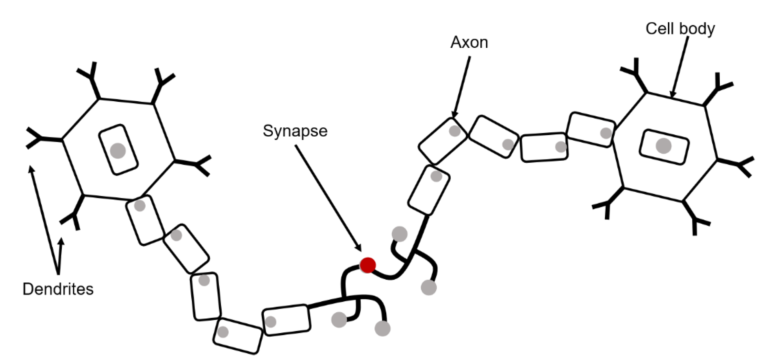 Applsci 10 03835 g002