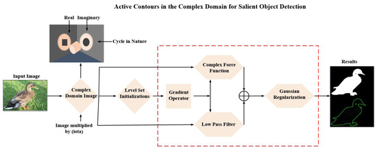 Active Contours in the Complex Domain for Salient Object Detection