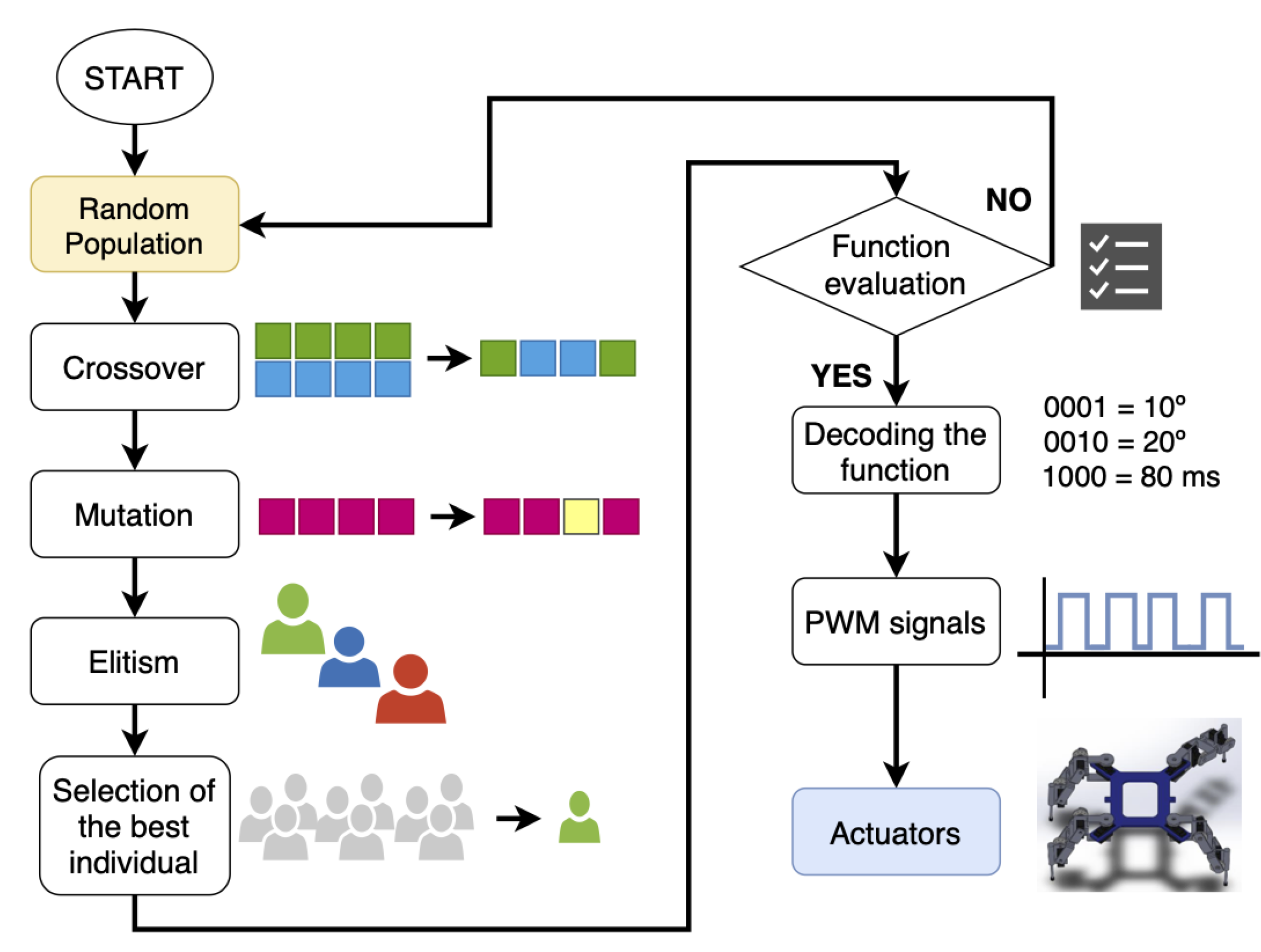 Performance Comparisons of Bio-Micro Genetic Algorithms on Robot Locomotion