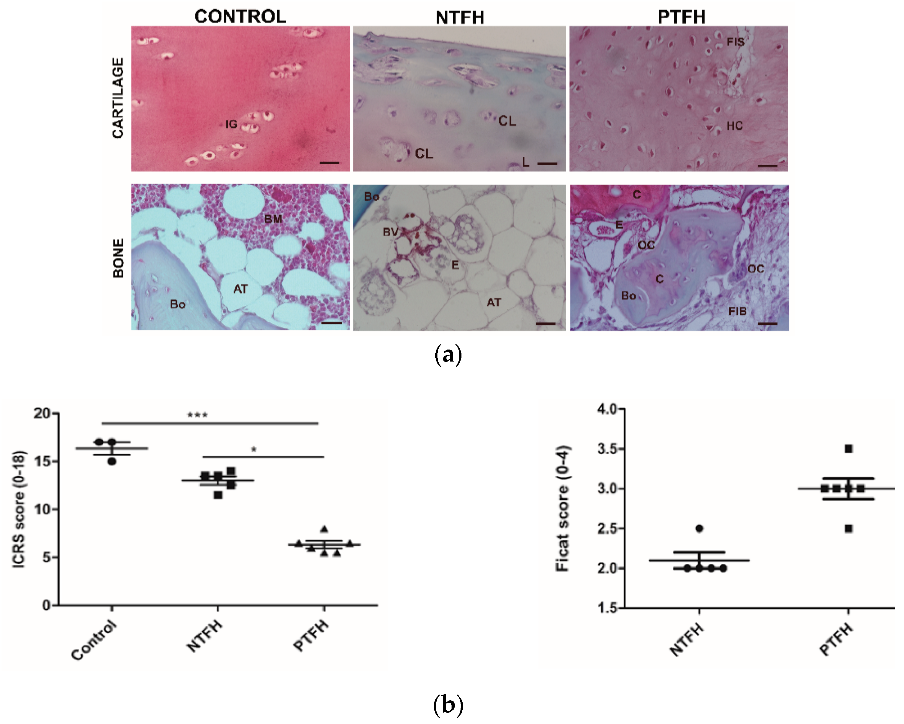 Applsci 10 03945 g001 Applsci 10 03945 g001