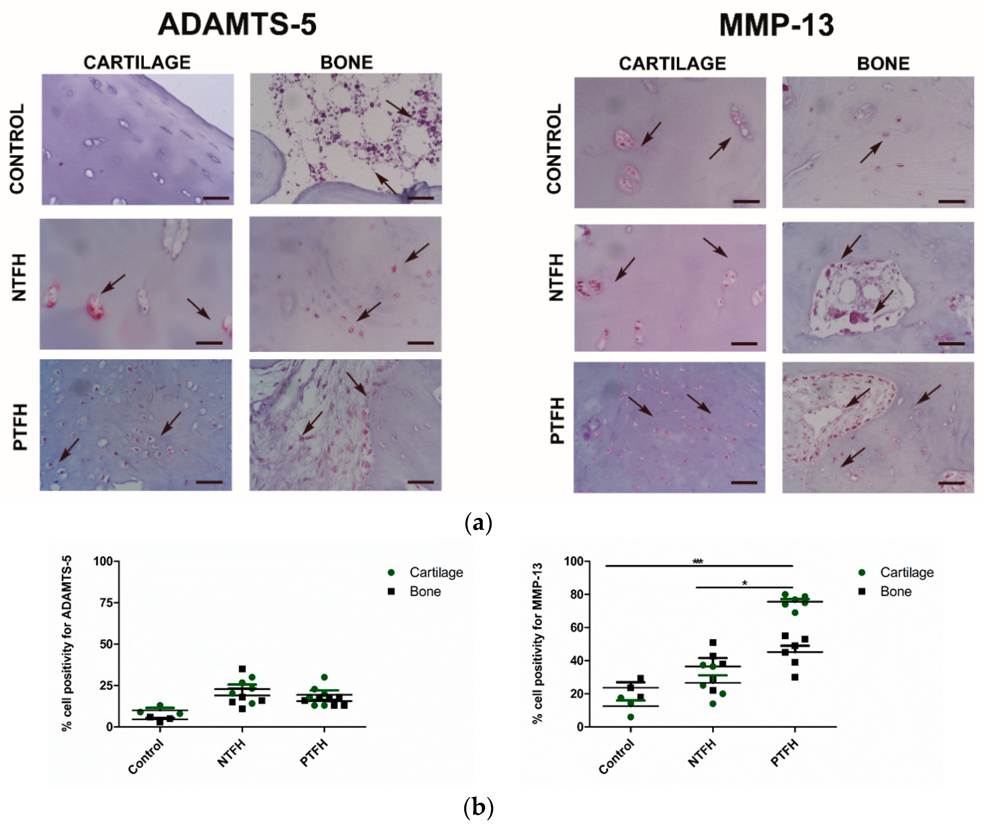 Applsci 10 03945 g004 Applsci 10 03945 g004