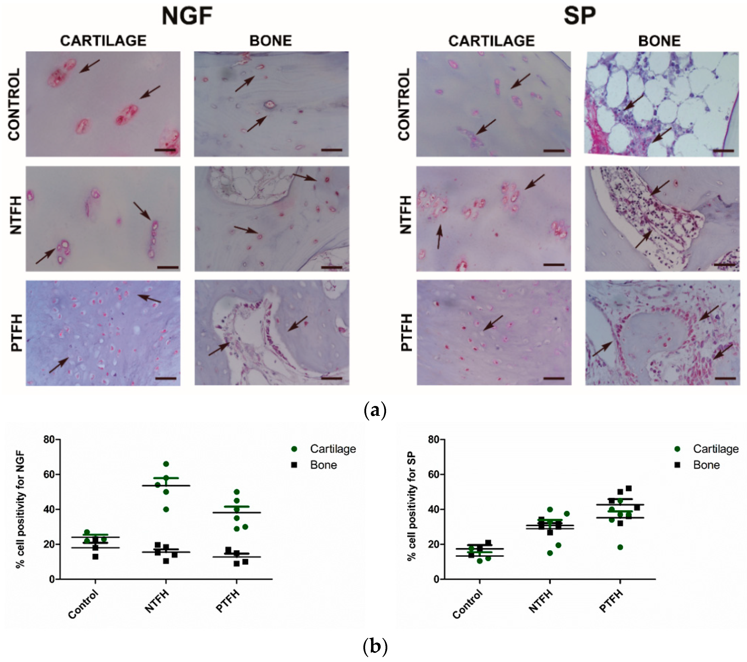 Applsci 10 03945 g005 Applsci 10 03945 g005