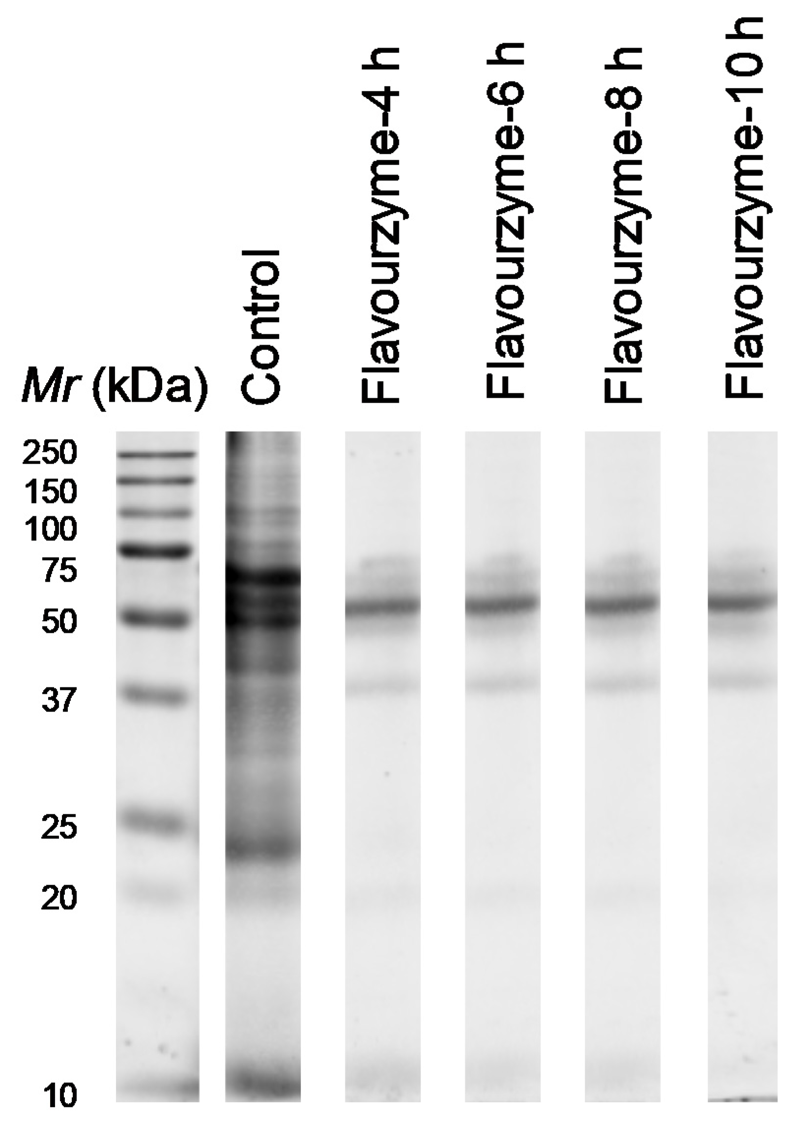 Applsci 10 03950 g001