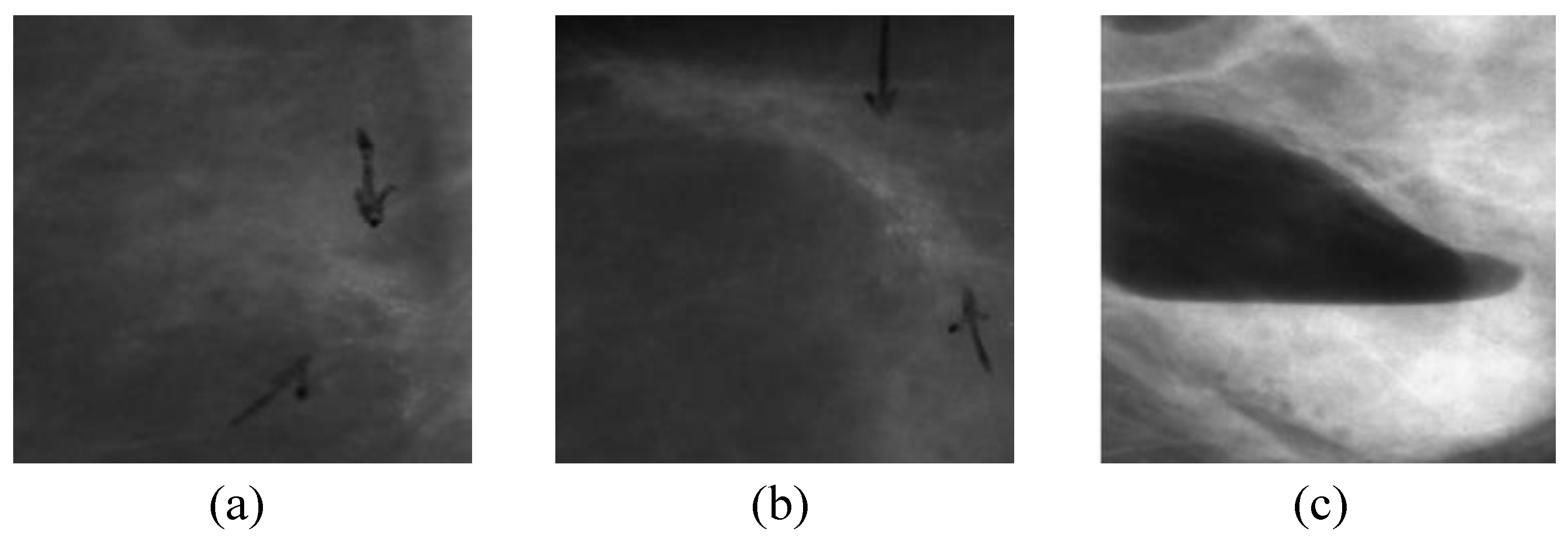 Applsci 10 03999 g001