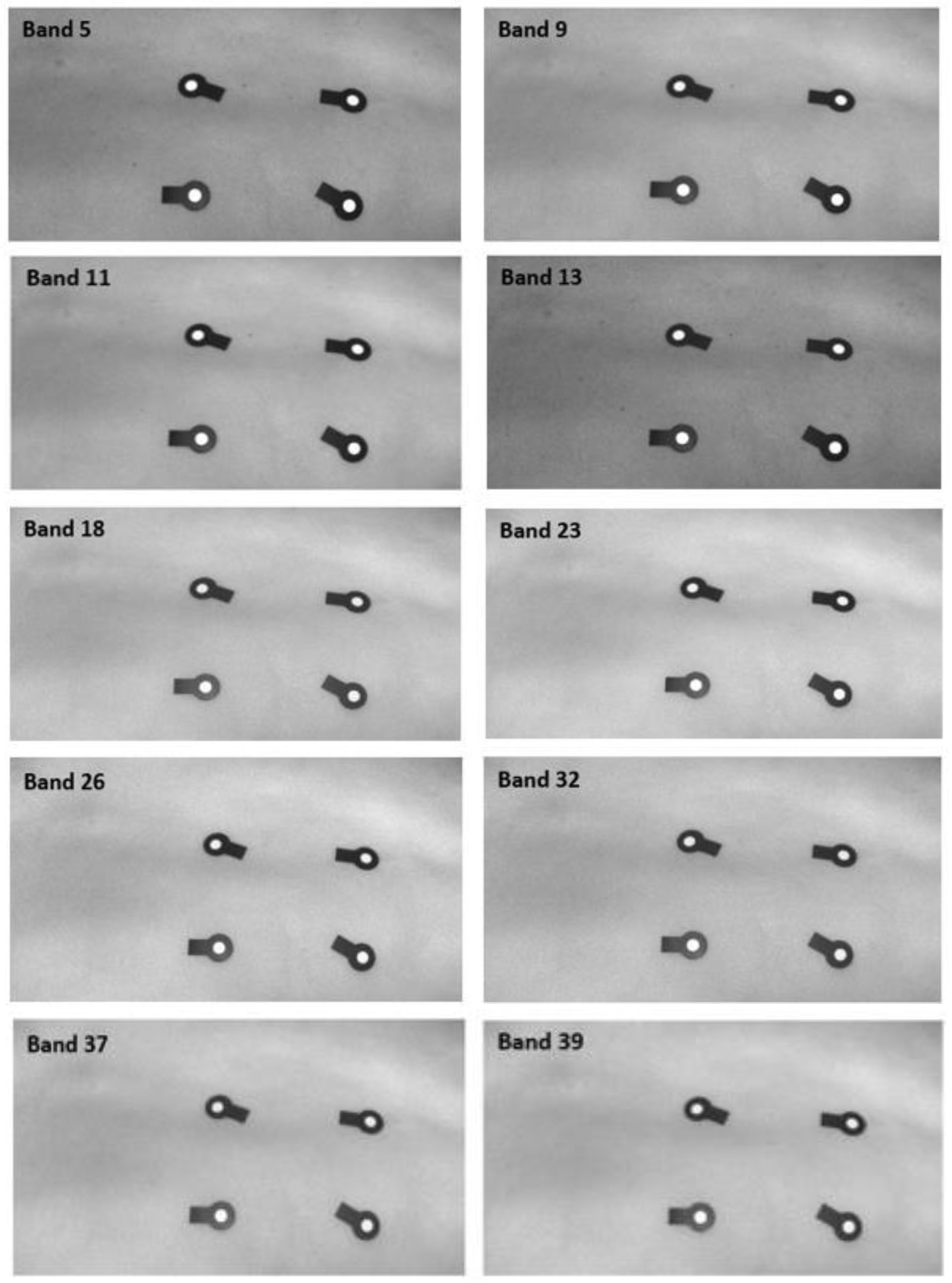 Applsci 10 04078 g007