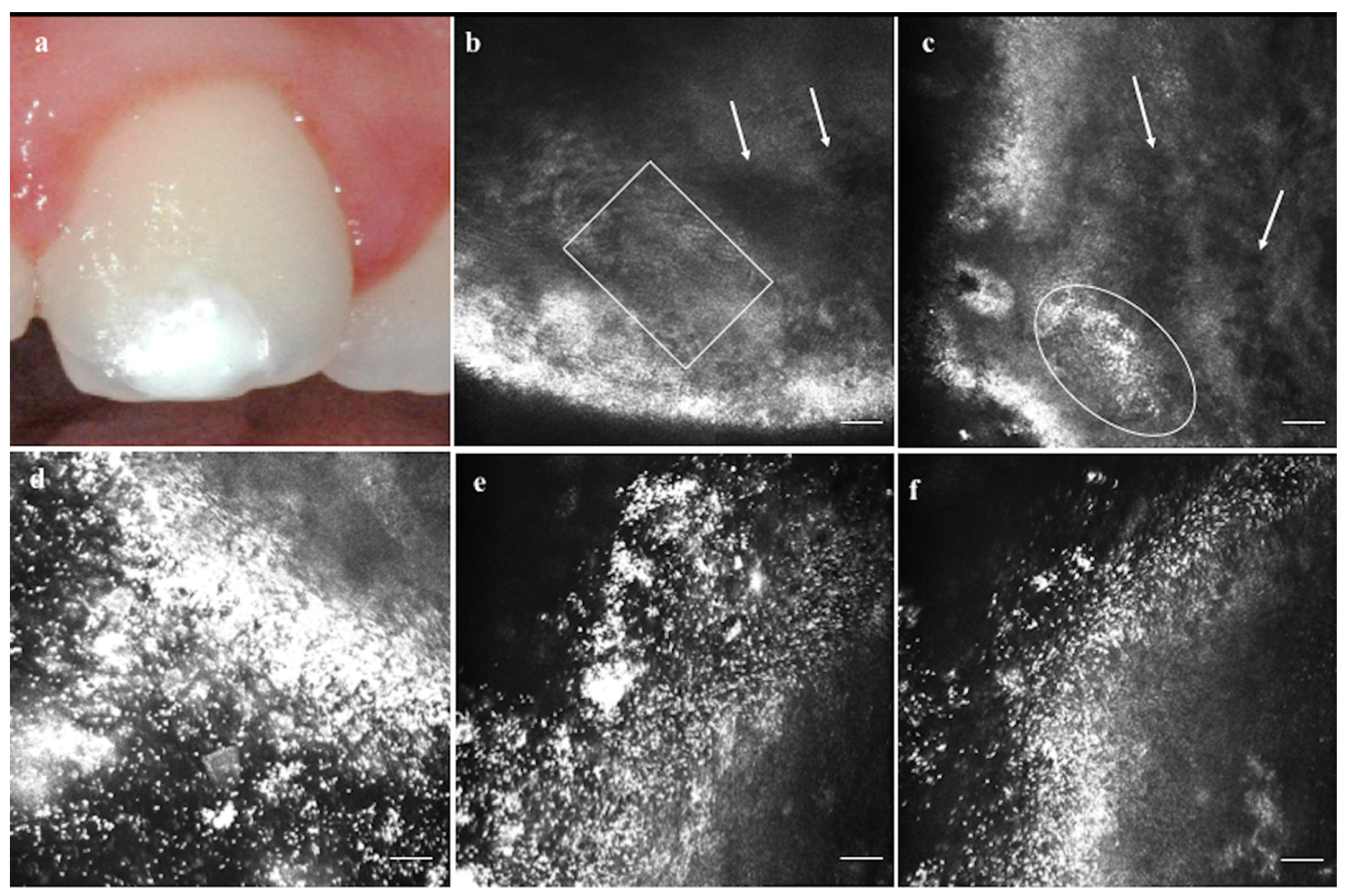 Applsci 10 04155 g003