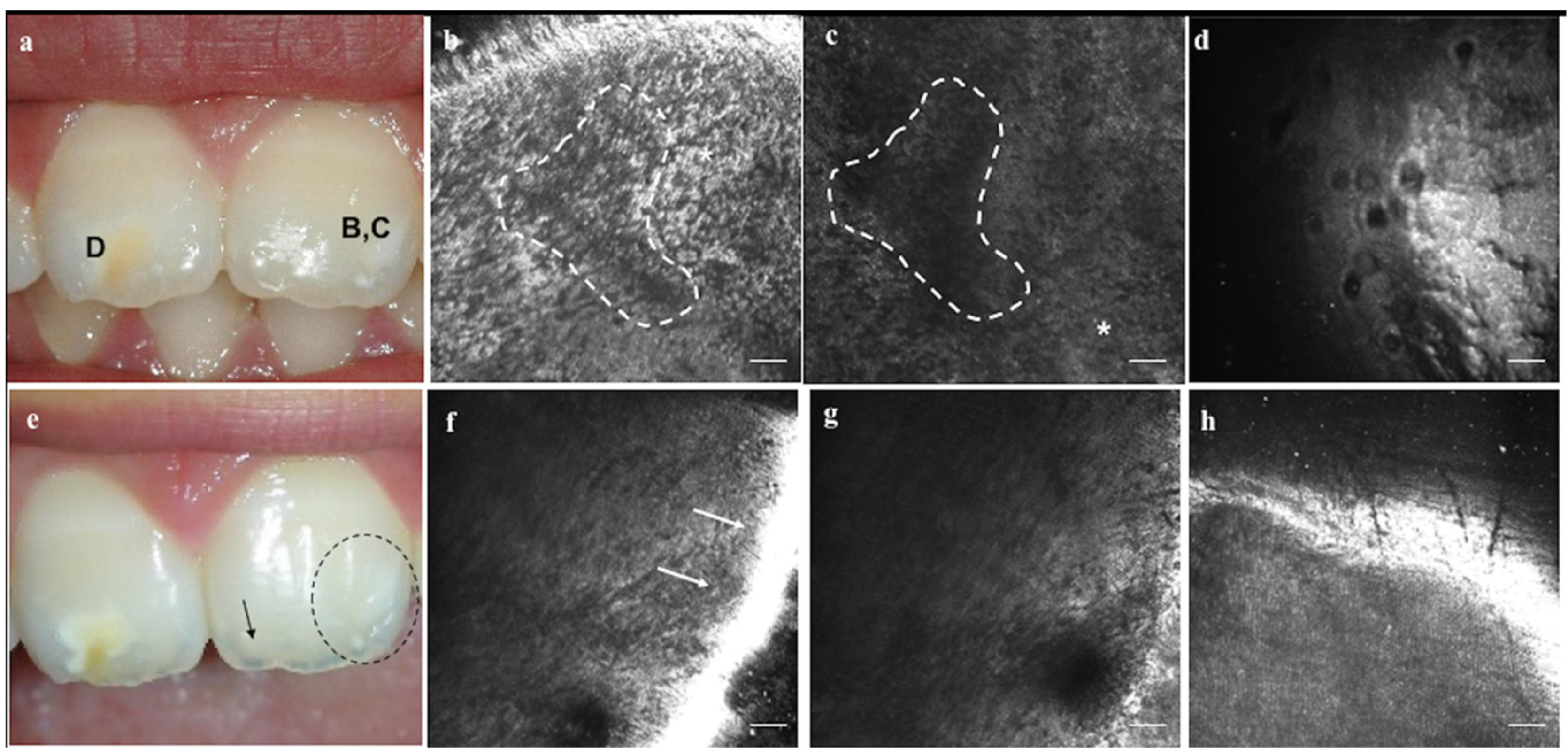 Applsci 10 04155 g004