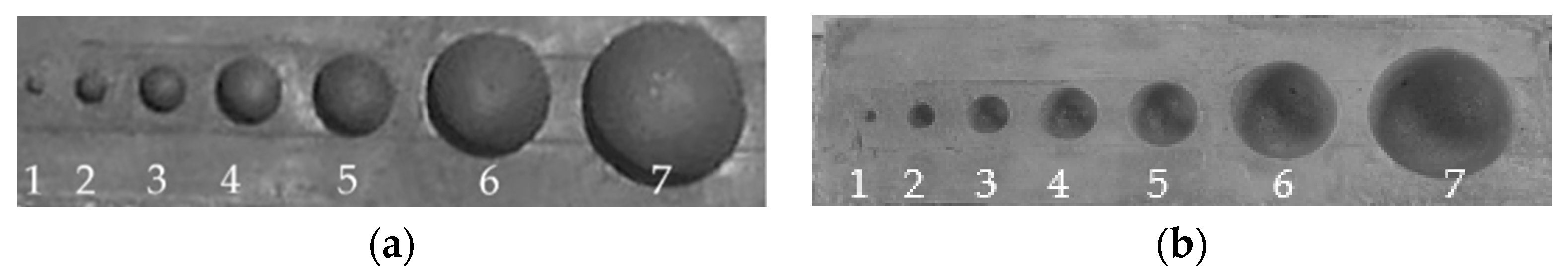 Applsci 10 04157 g003