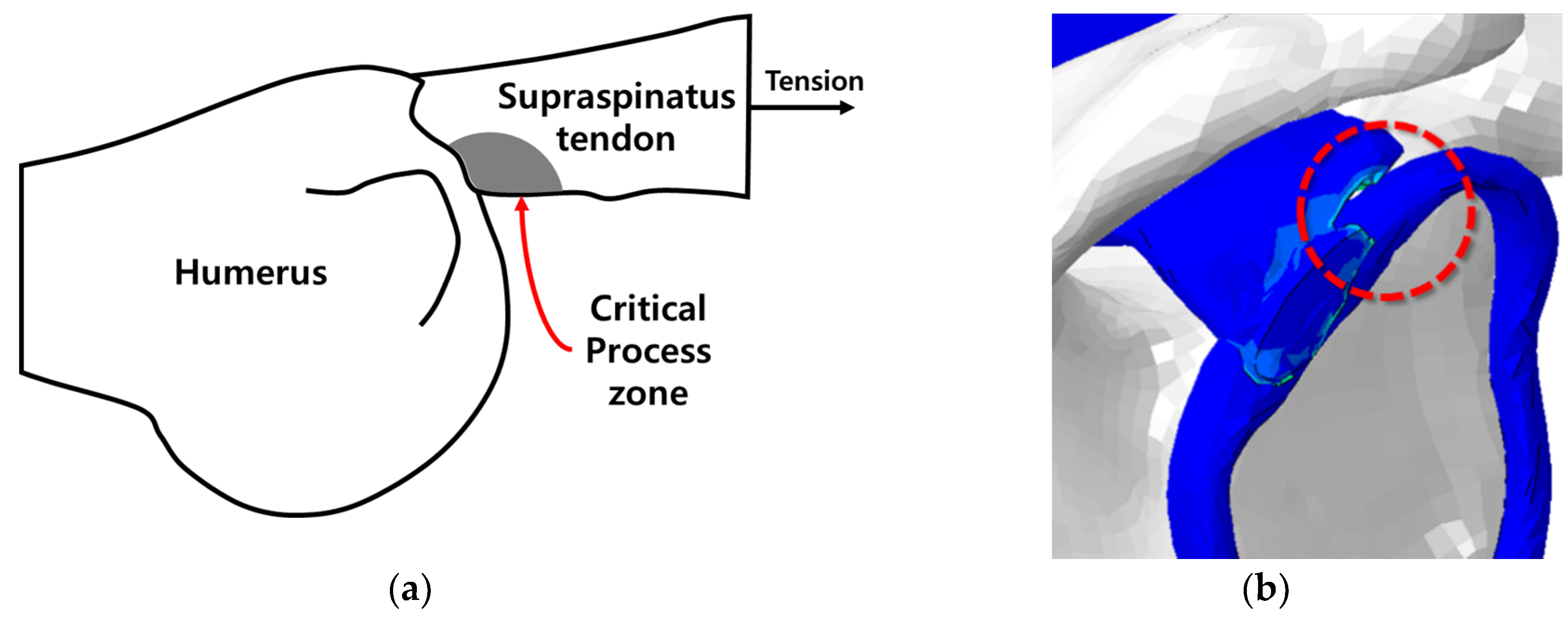Applsci 10 04165 g003