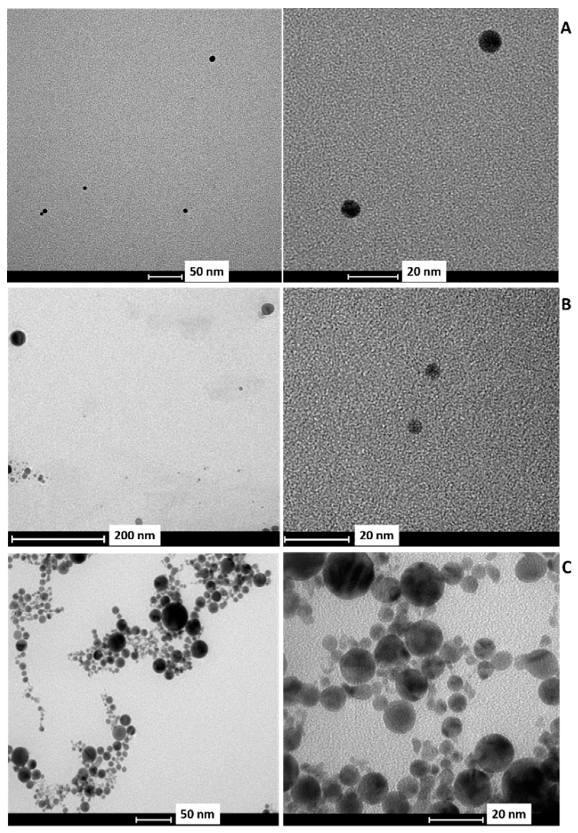 Applsci 10 04169 g001