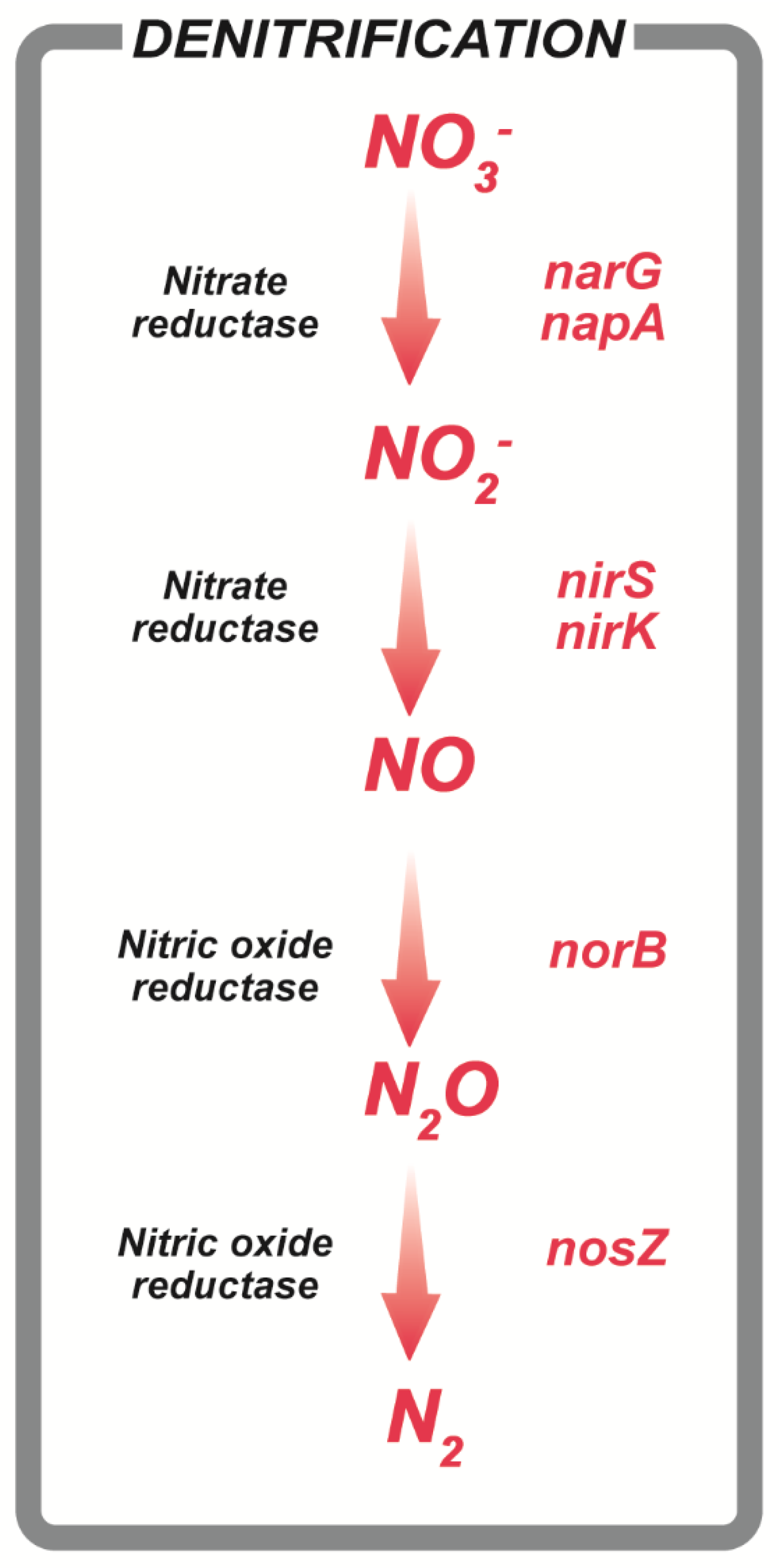 Applsci 10 04172 g001