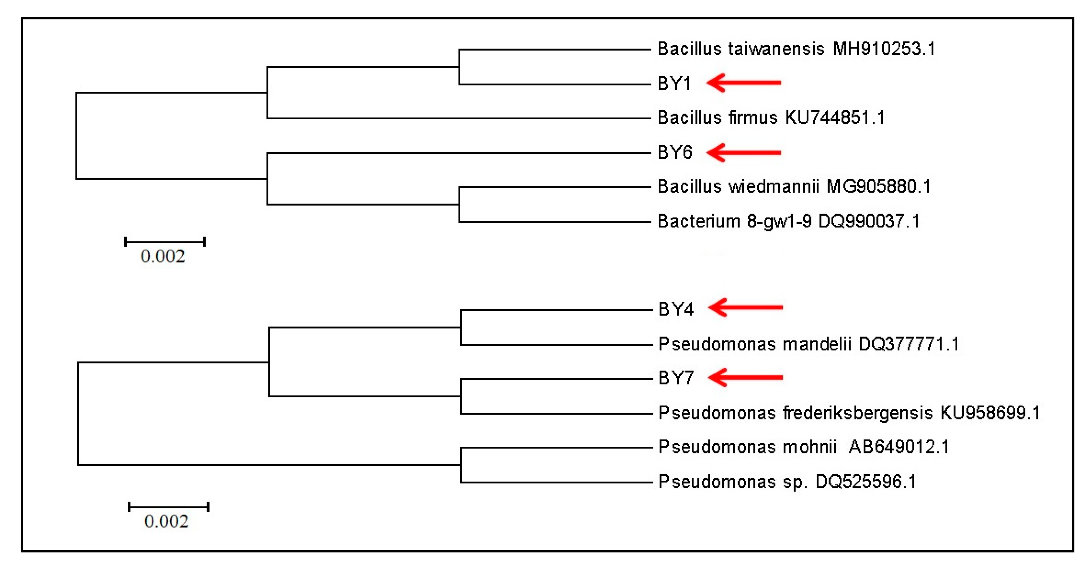 Applsci 10 04173 g002