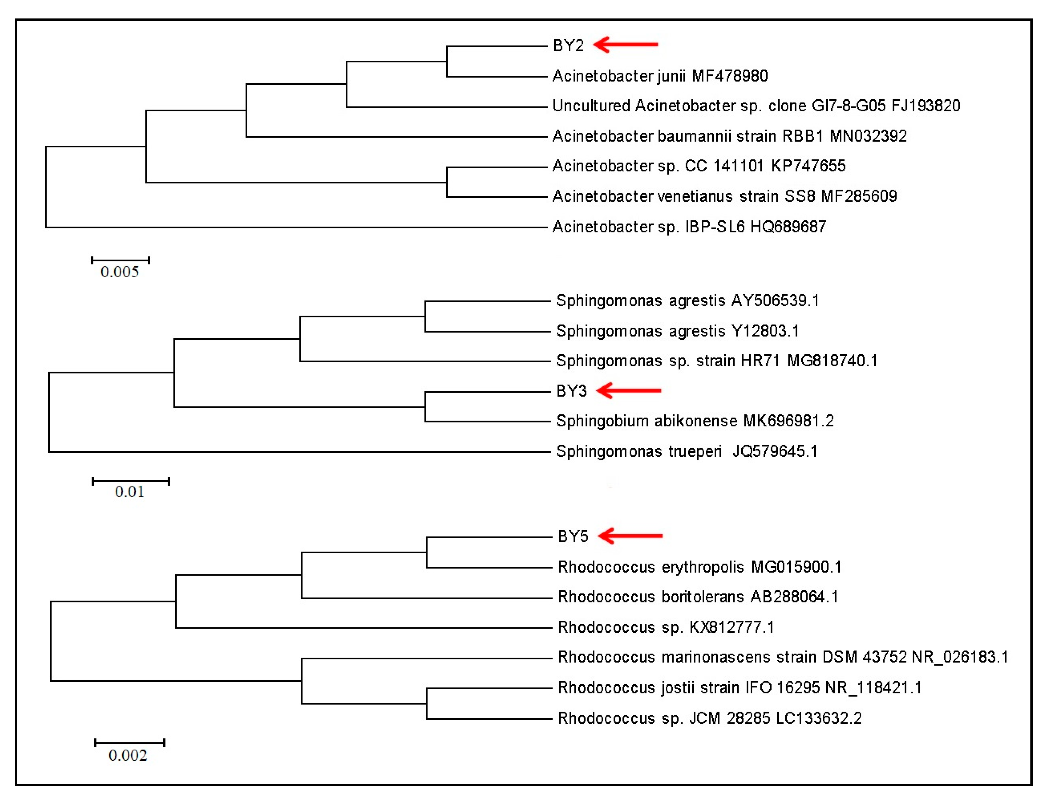 Applsci 10 04173 g003