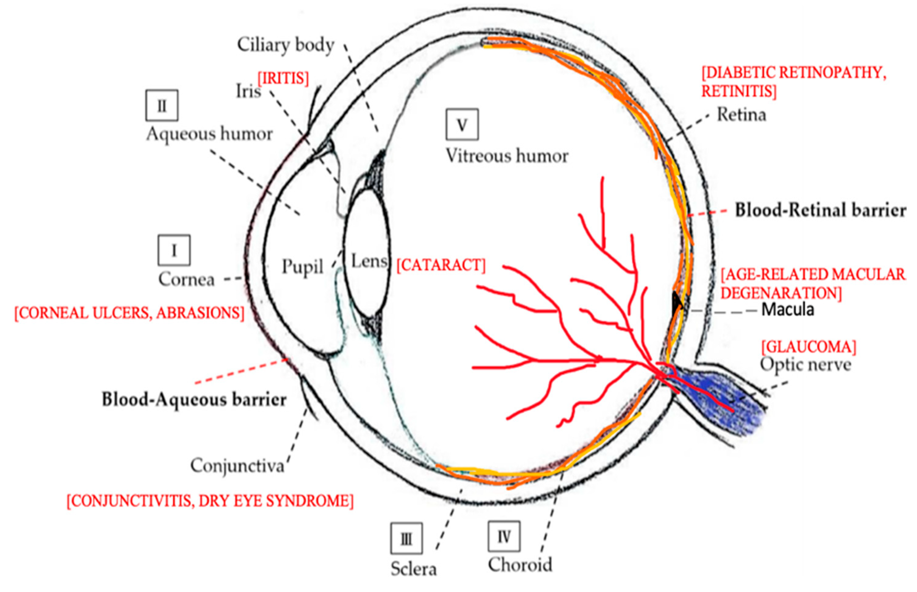 Applsci 10 04189 g004