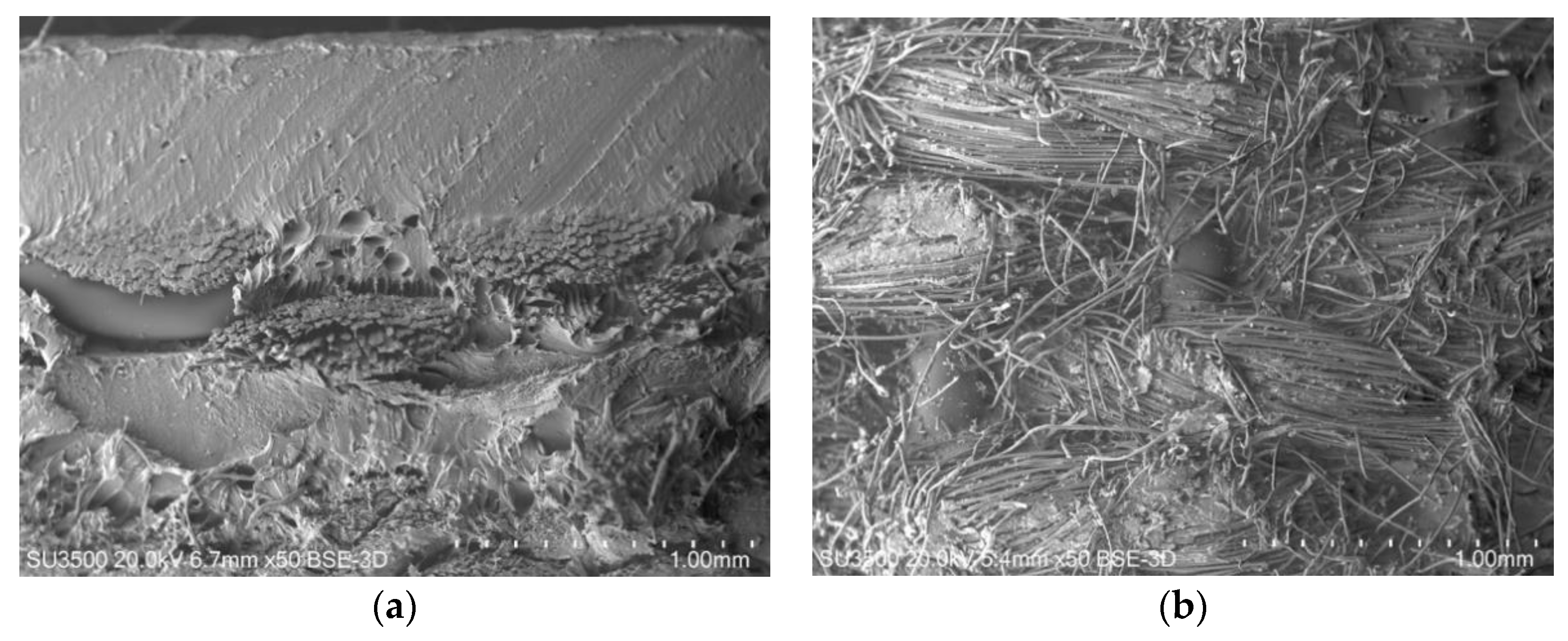 Applsci 10 04201 g009