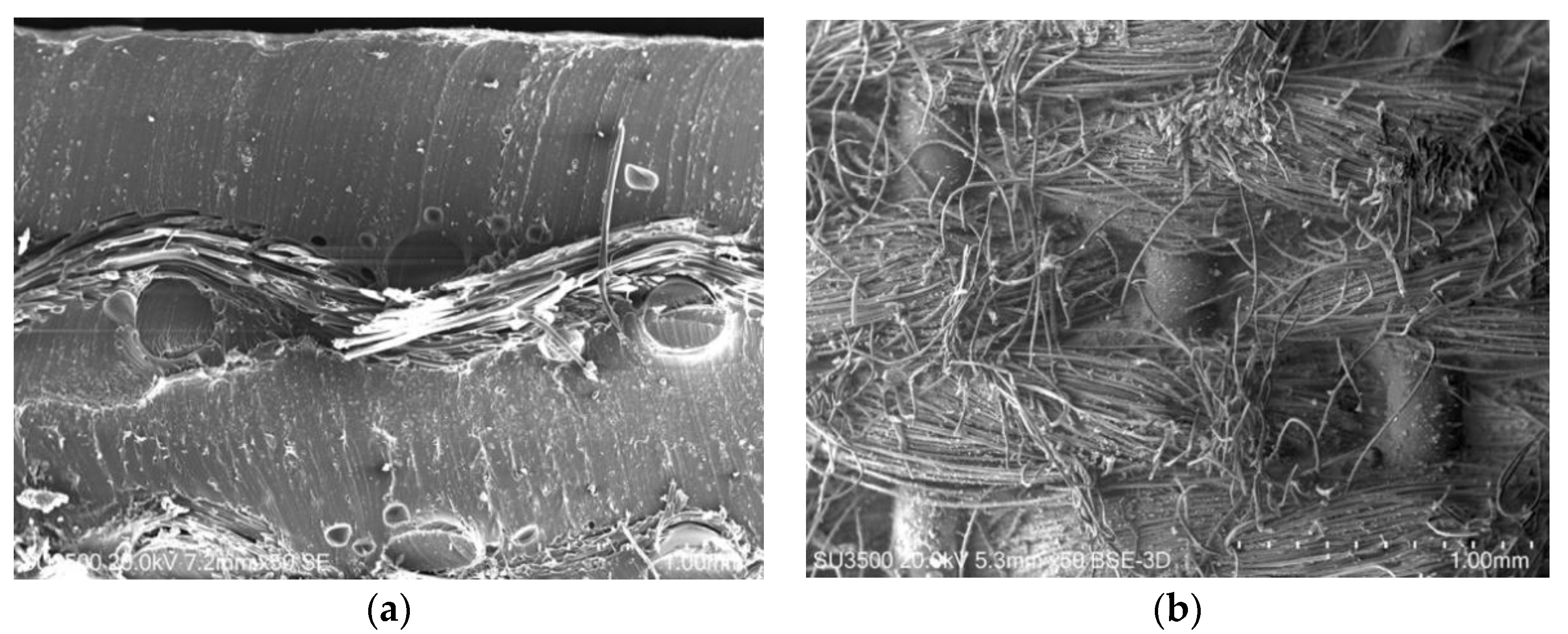 Applsci 10 04201 g010