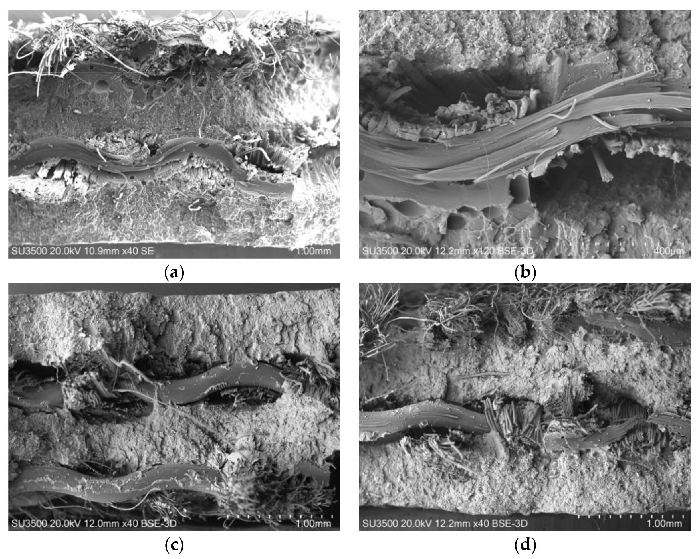 Applsci 10 04201 g012