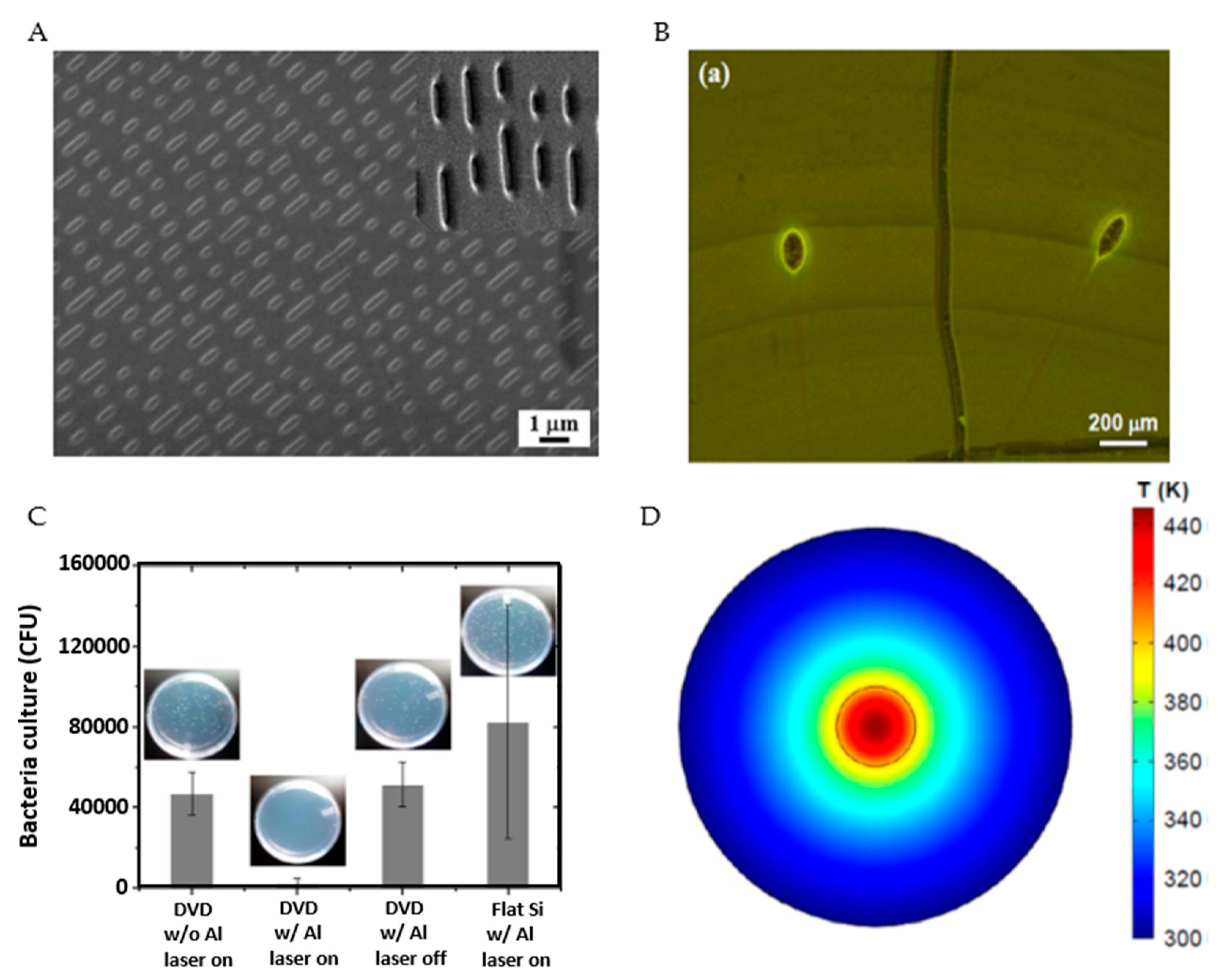 Applied Sciences Free Full Text Quantum Leap From Gold And Silver To Aluminum Nanoplasmonics For Enhanced Biomedical Applications Html