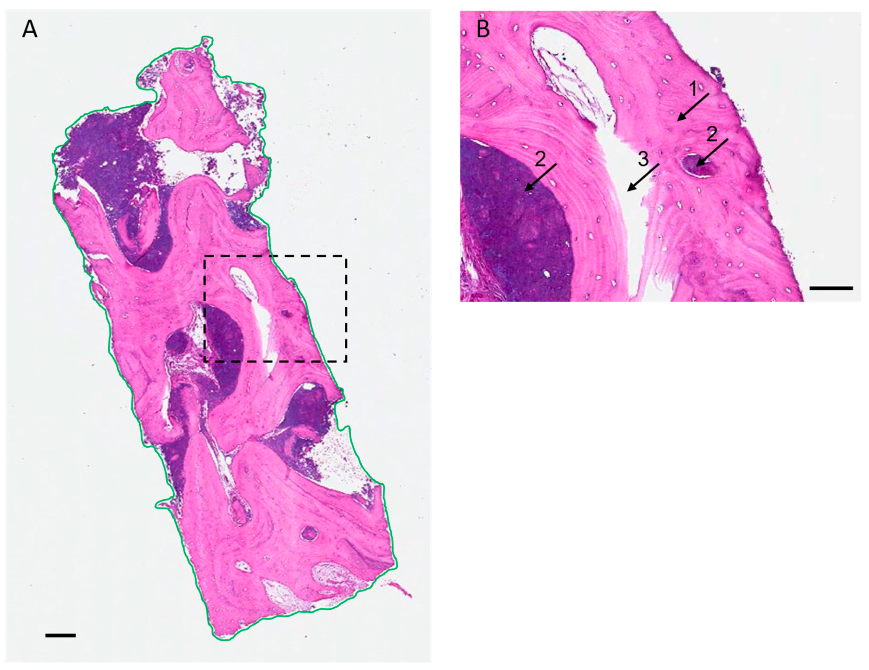 Applsci 10 04256 g003 Applsci 10 04256 g003