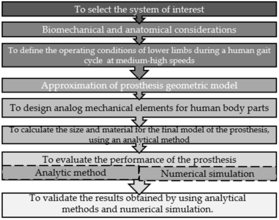 Applied Sciences Free Full Text Numerical Study Of A Customized Transtibial Prosthesis Based On An Analytical Design Under A Flex Foot Variflex Architecture Html
