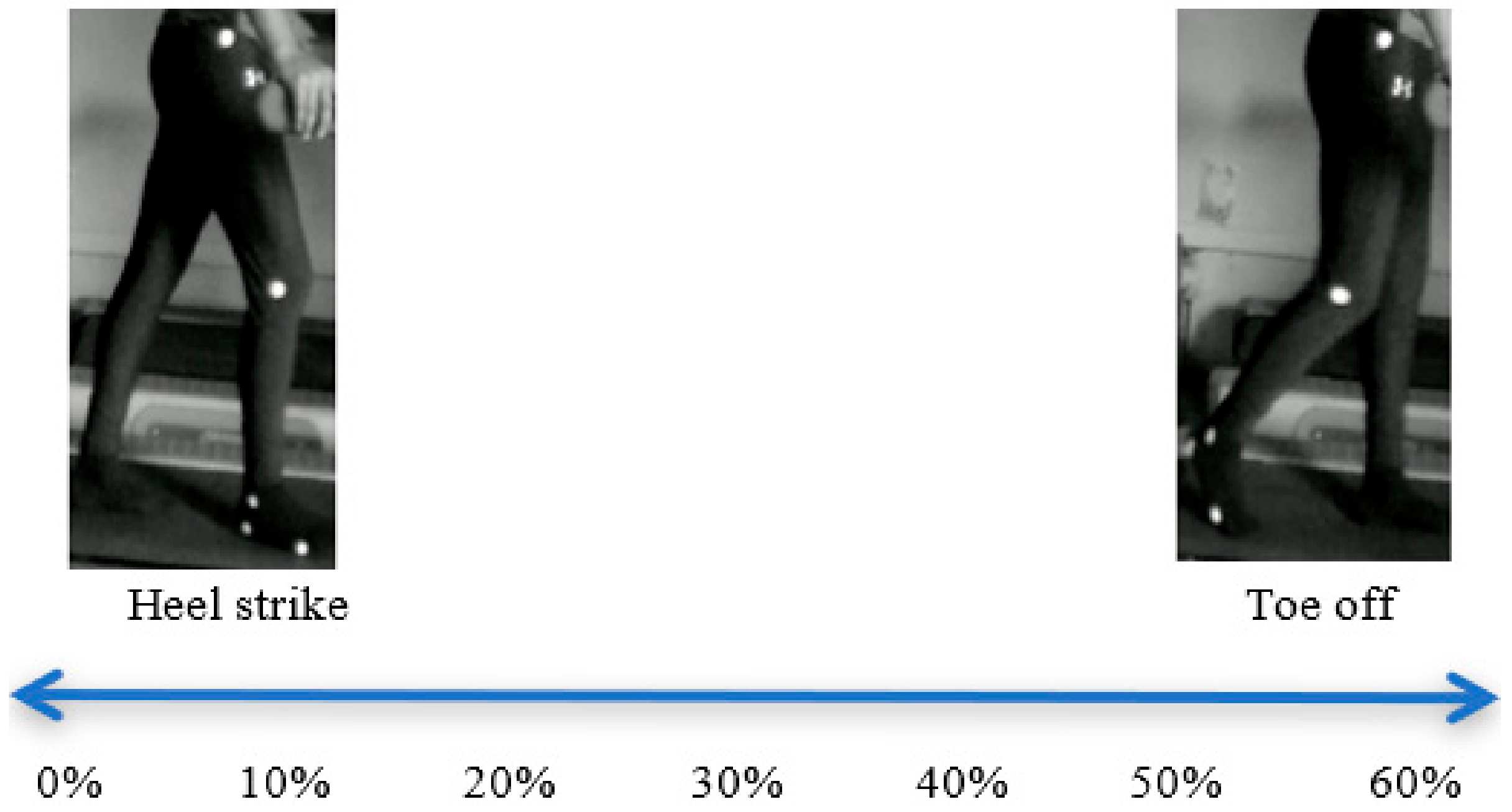 Applsci 10 04275 g013 Applsci 10 04275 g013